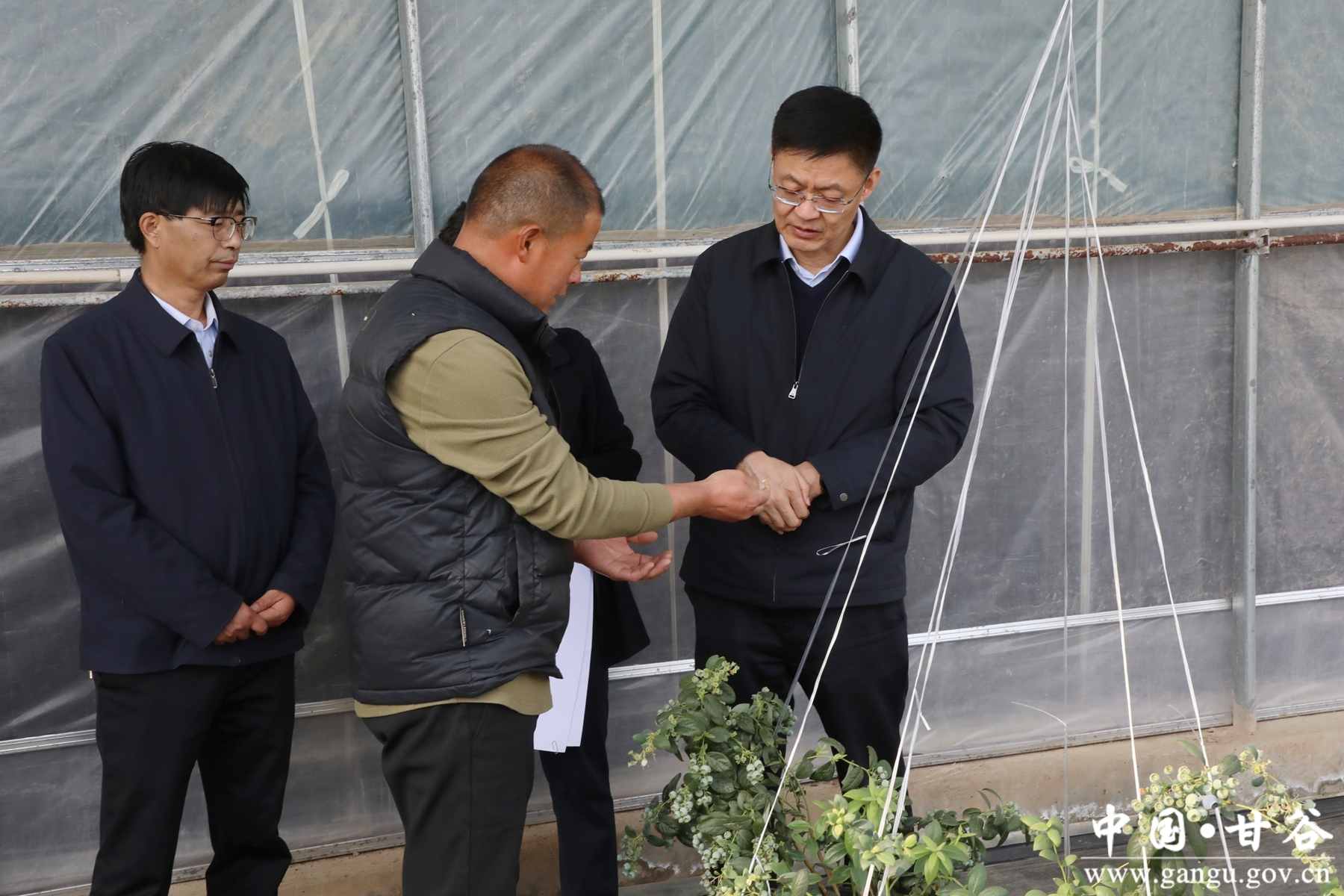 微信图片_20250304182616_副本 微信图片_20250304182616_副本