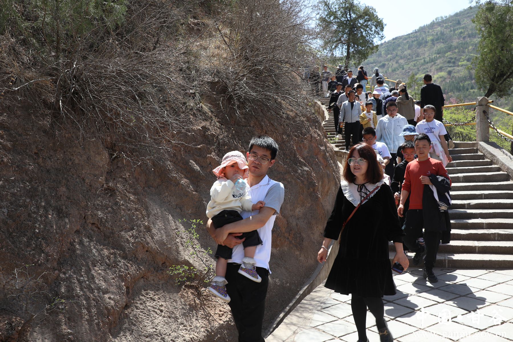 926A9614_副本 926A9614_副本