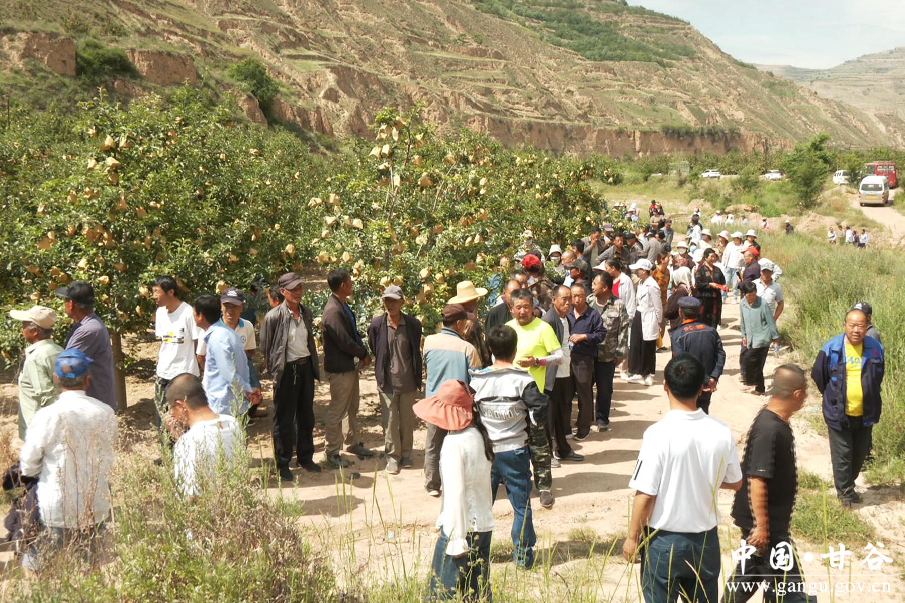 微信图片_20240701103923 微信图片_20240701103923