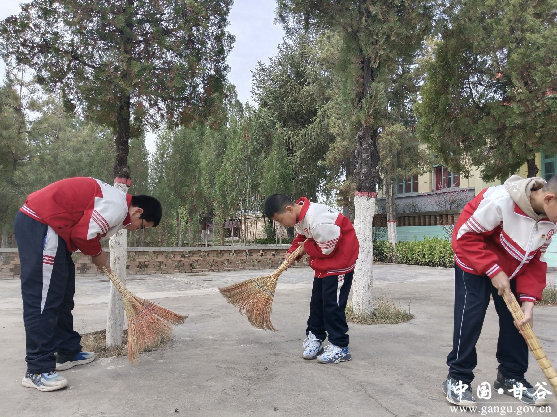 微信图片_20240403151736_副本