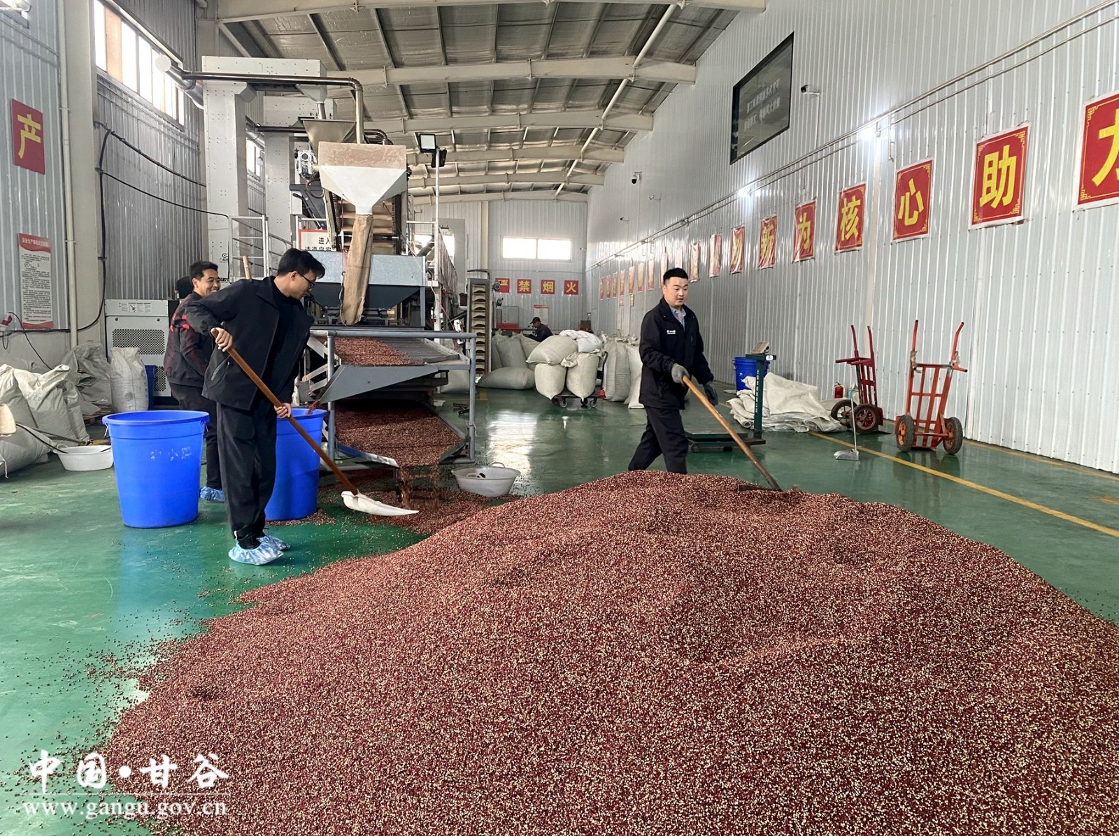 8d169fd270c449b89638dfeecc05fc7 8d169fd270c449b89638dfeecc05fc7