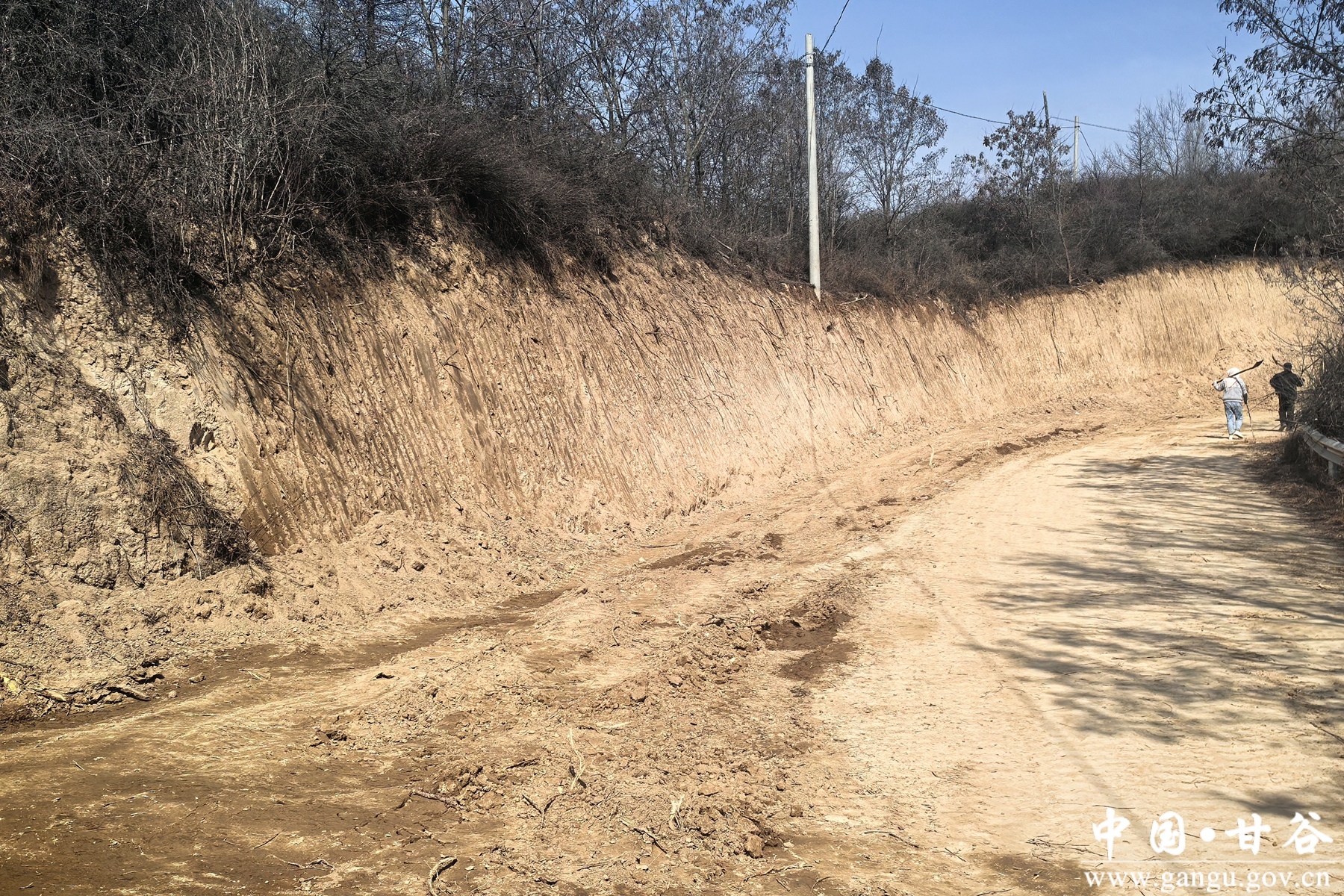 微信图片_20250403163613 微信图片_20250403163613