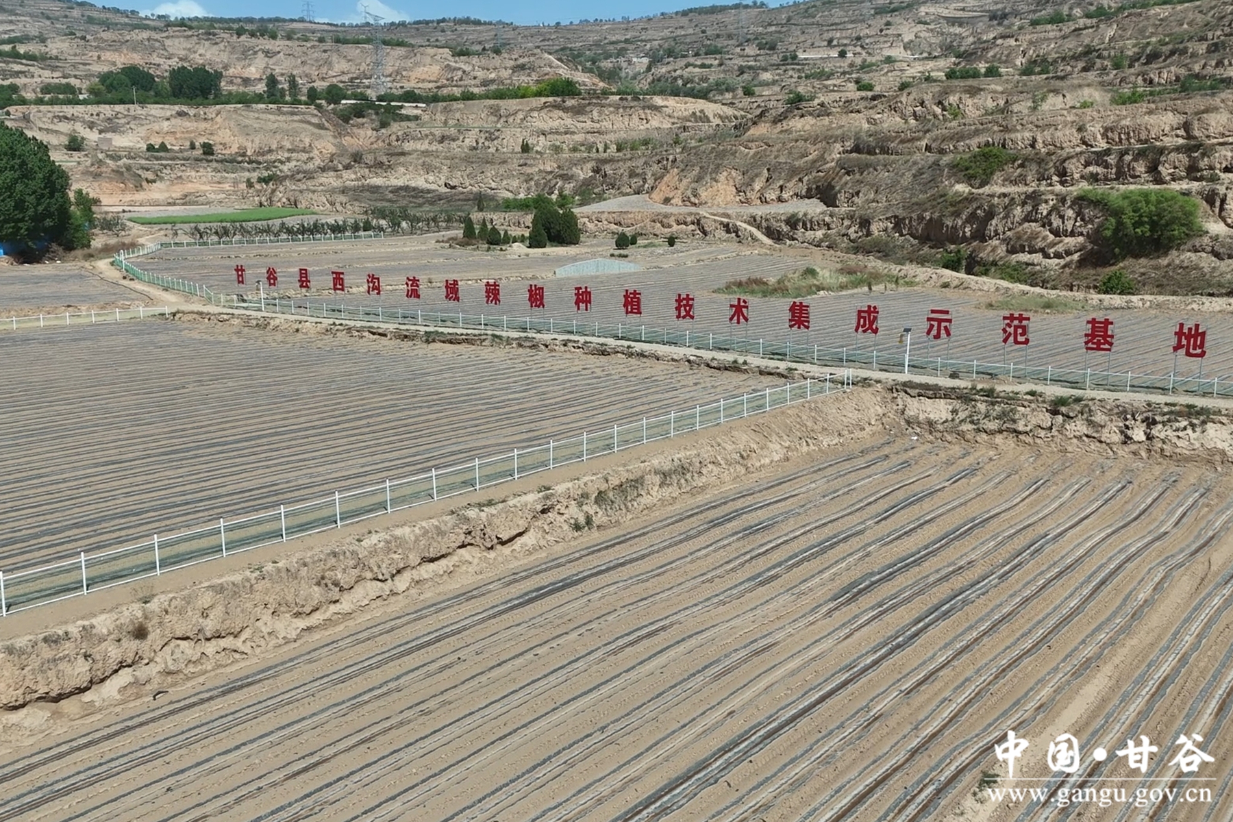 微信图片_20250510083558 微信图片_20250510083558