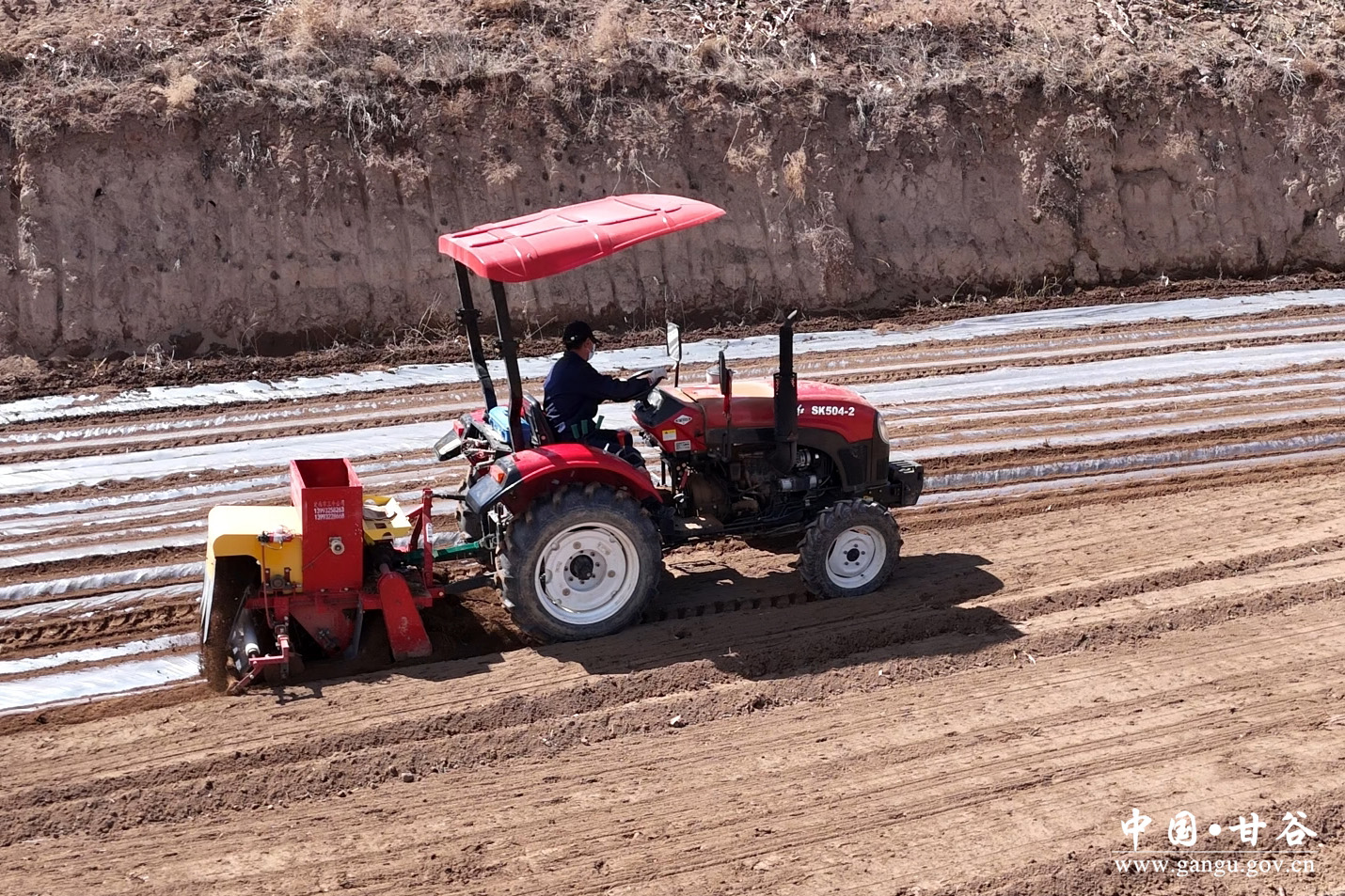 1744273106271094644.jpg 1744273106271094644.jpg