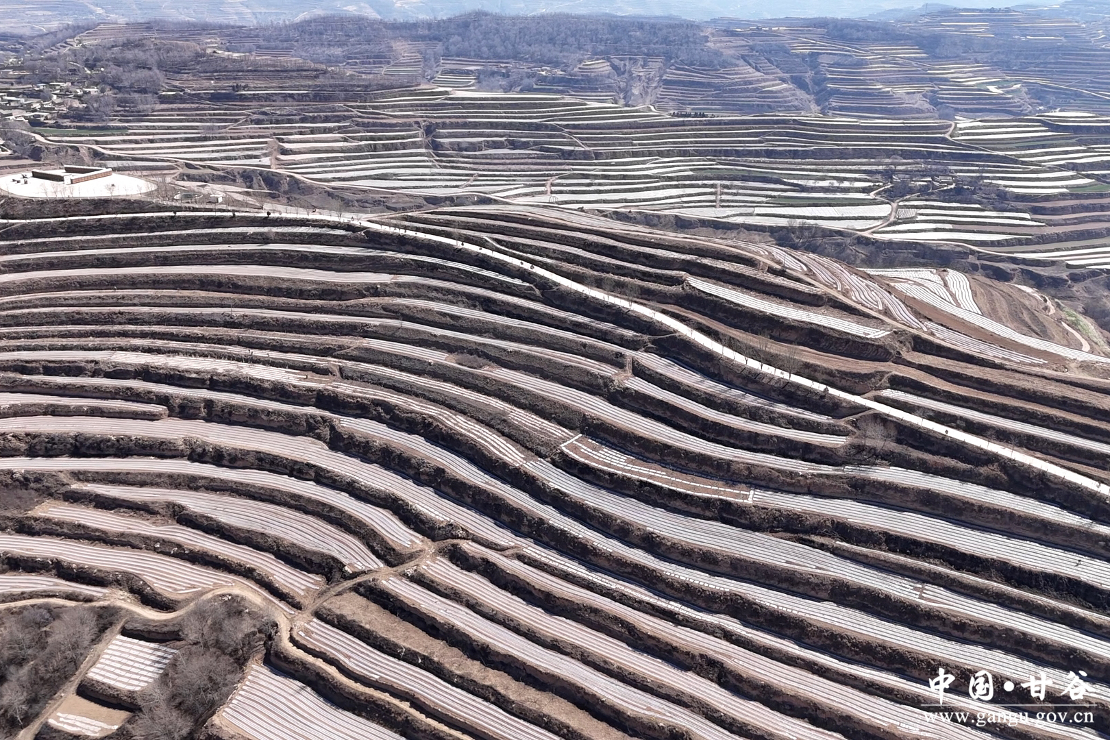 1744273465989014326.jpg 1744273465989014326.jpg