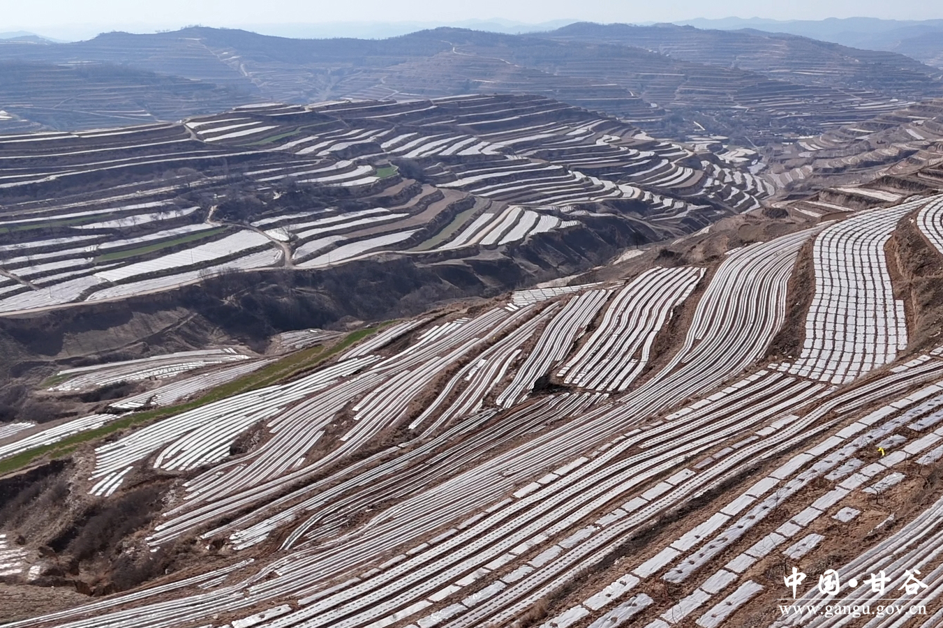 1744273035498034667.jpg 1744273035498034667.jpg