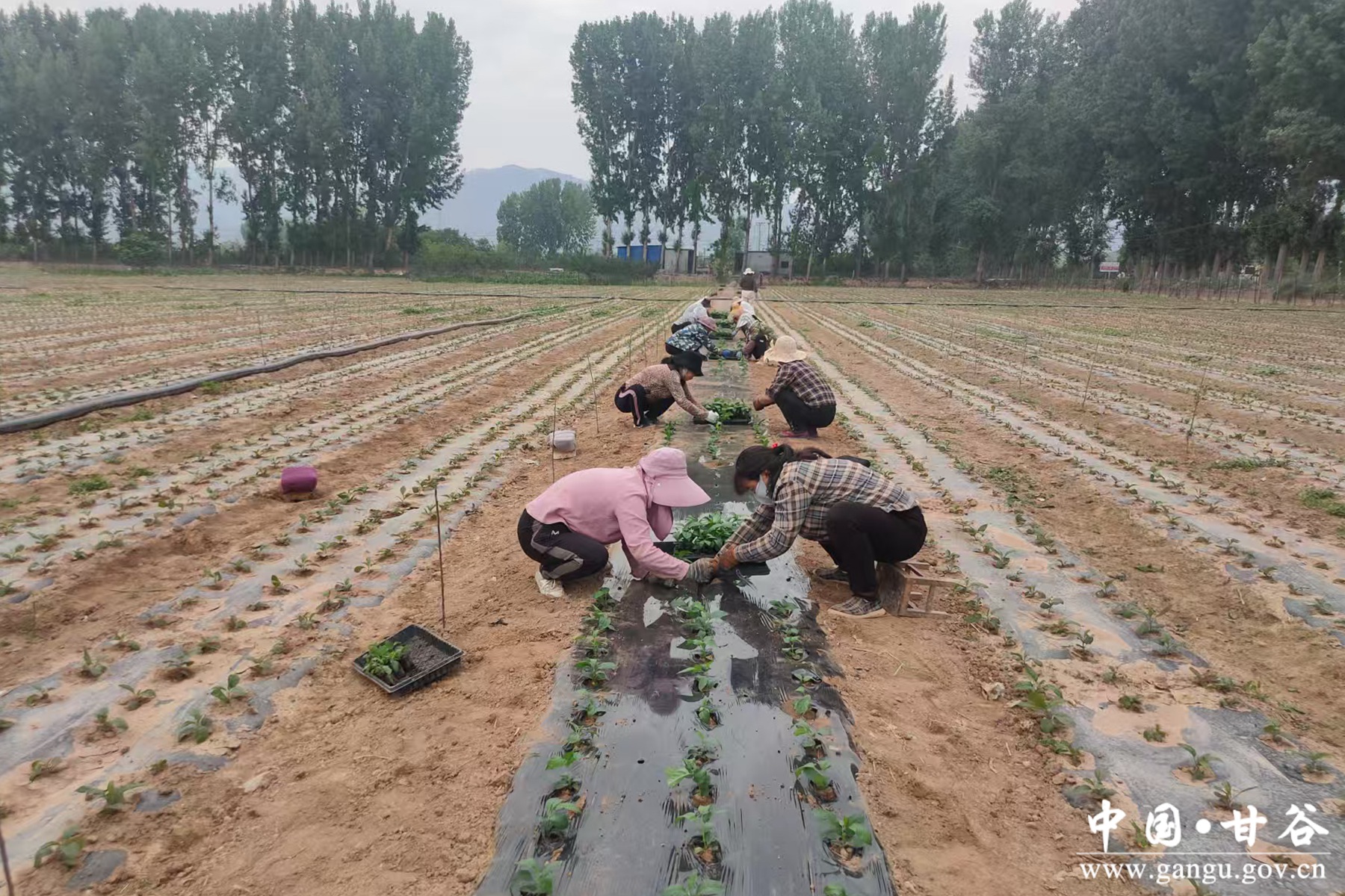 微信图片_20250609111827 微信图片_20250609111827