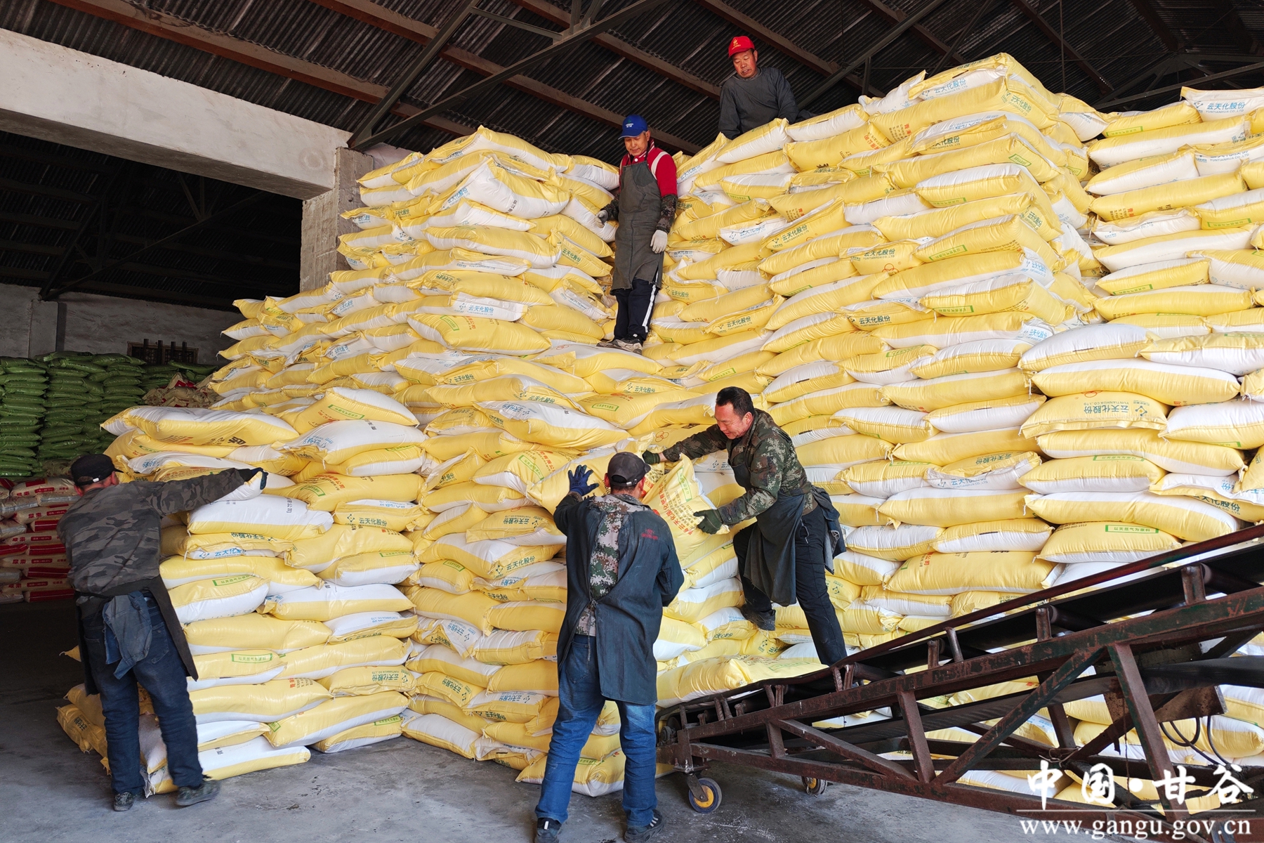 微信图片_20250213152656_副本 微信图片_20250213152656_副本