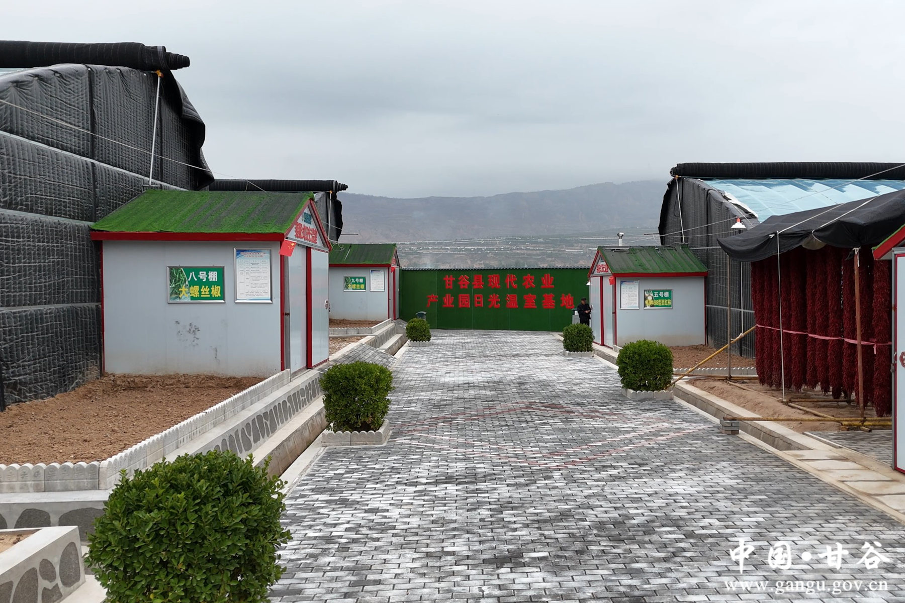 微信图片_20241025200905 微信图片_20241025200905