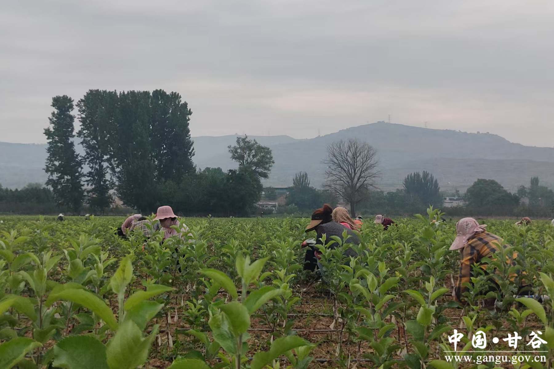 微信图片_20250609111836 微信图片_20250609111836