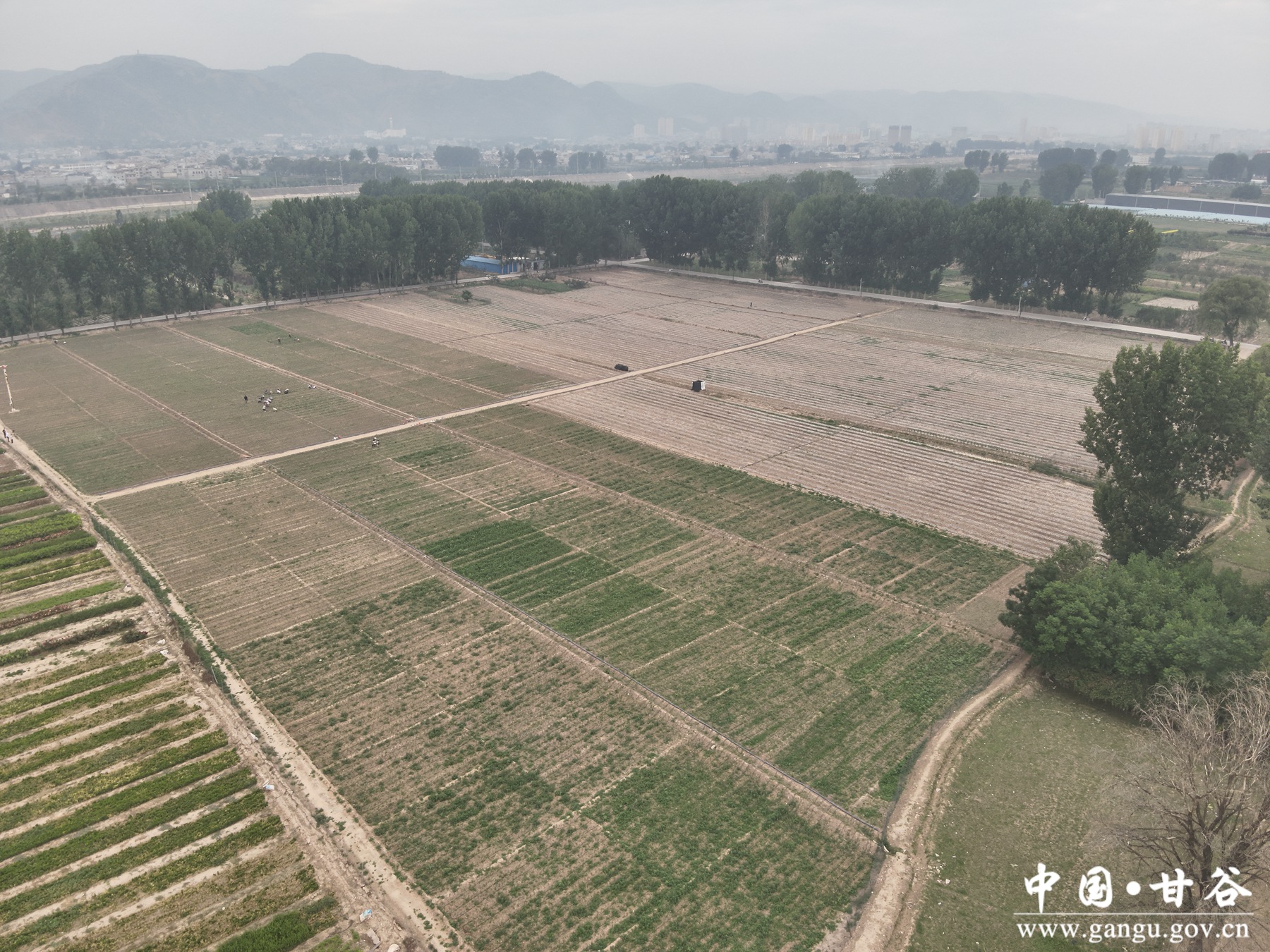 微信图片_20250609112113 微信图片_20250609112113