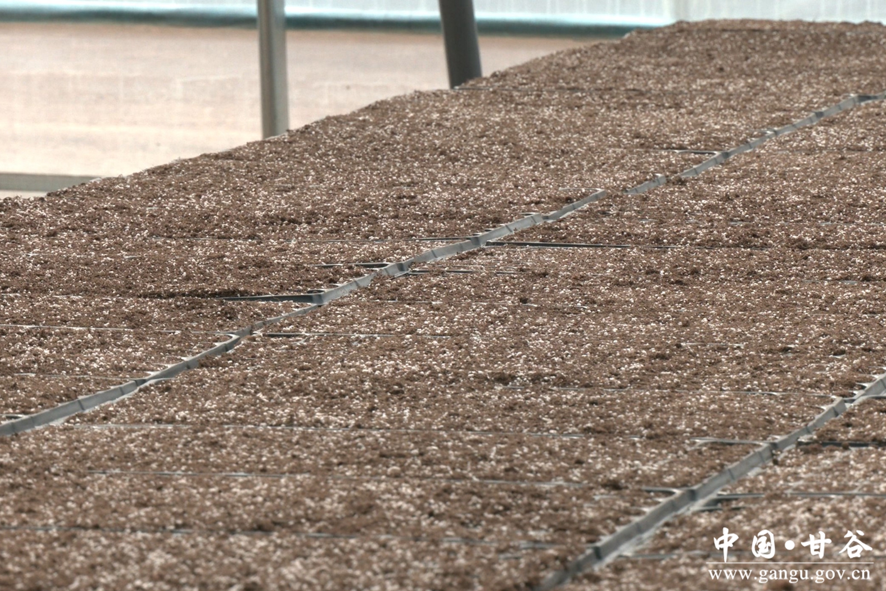 微信图片_20250213103937 微信图片_20250213103937