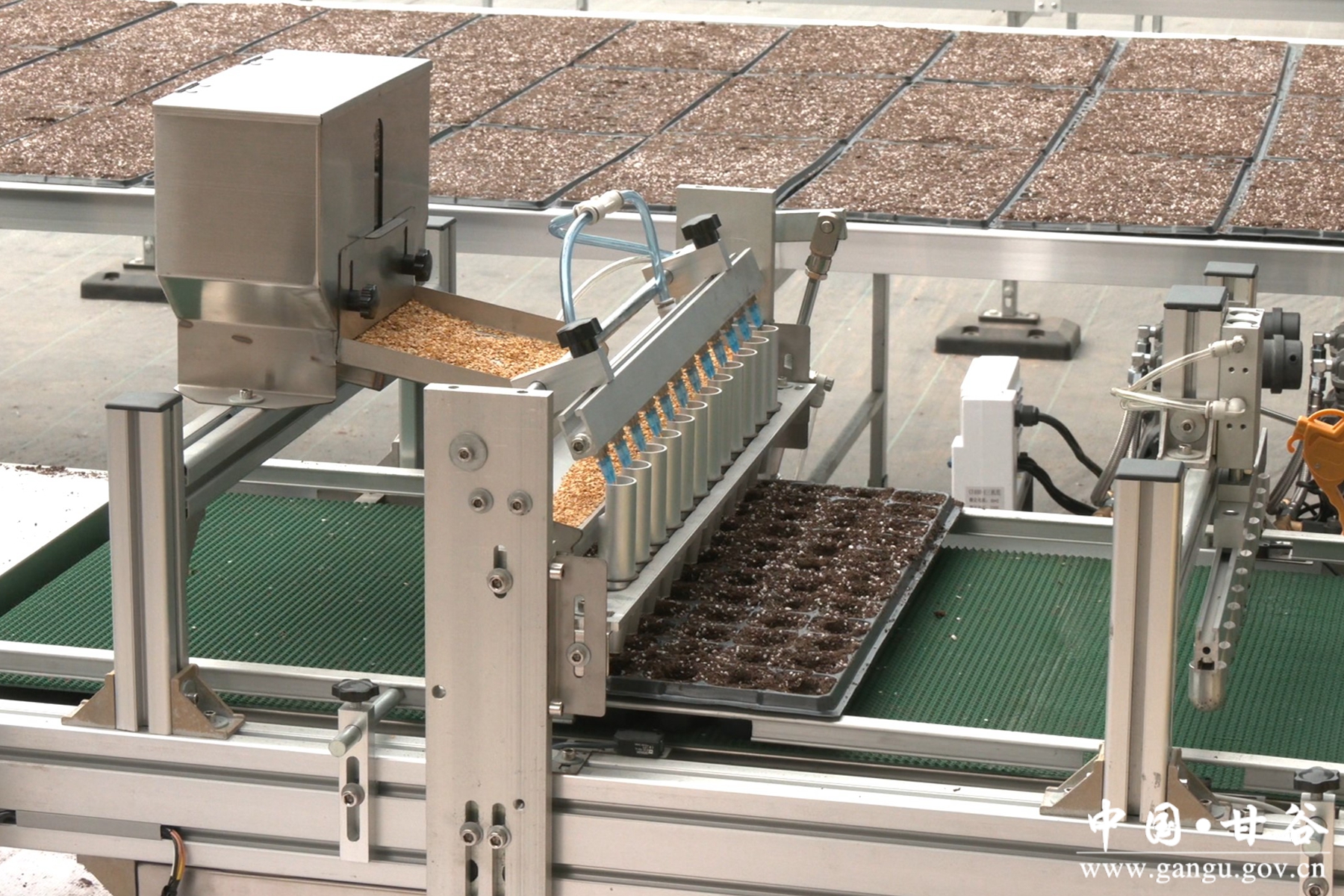 微信图片_20250213103927 微信图片_20250213103927