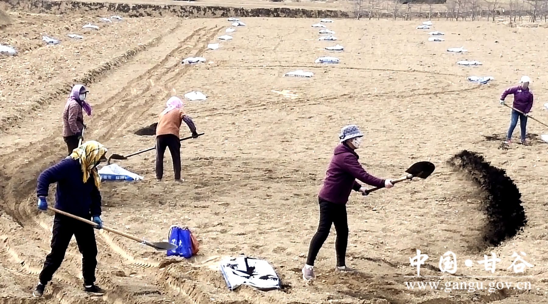 5cd51f74f42e1a793958a6442a56baa 5cd51f74f42e1a793958a6442a56baa