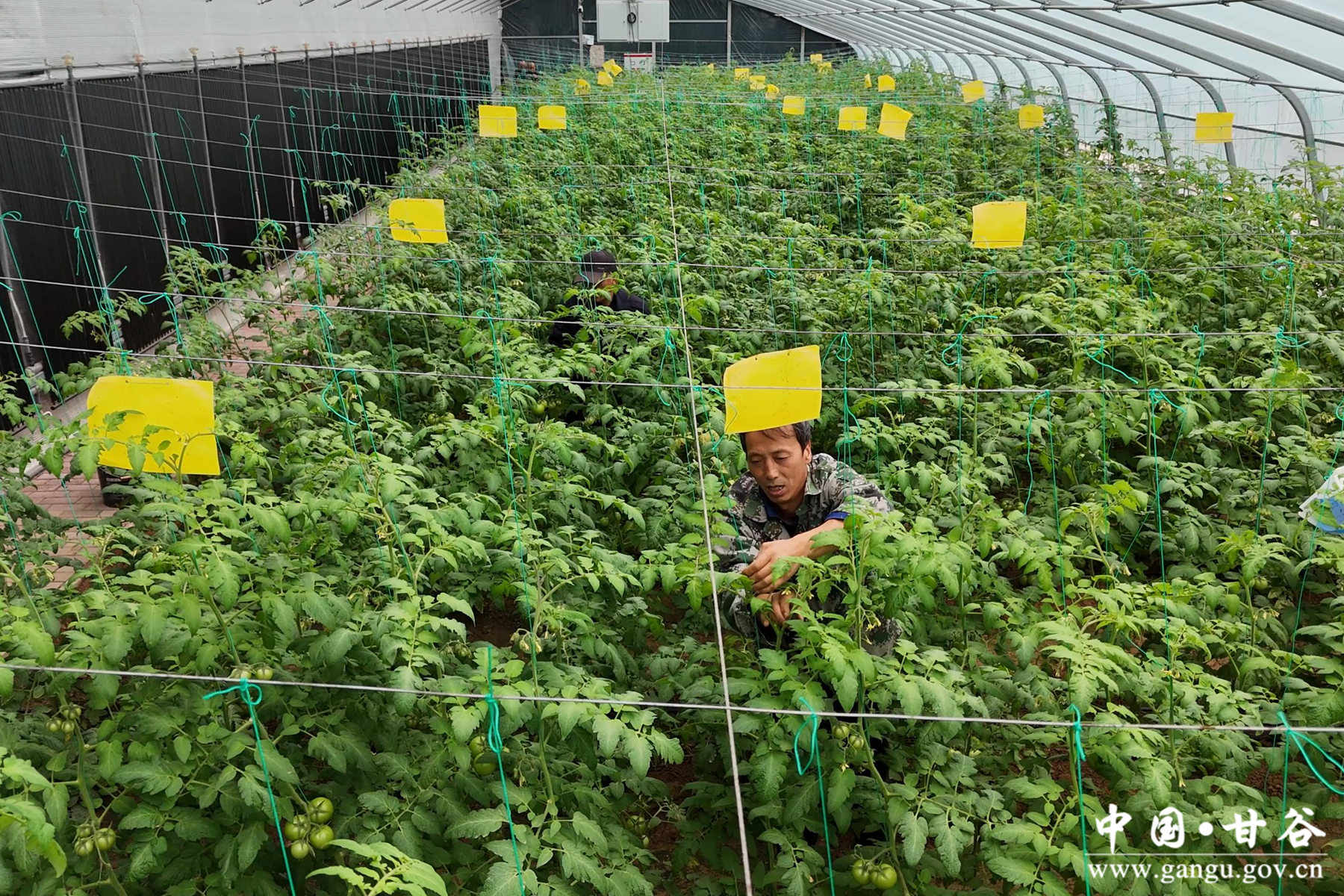 微信图片_20241025200929 微信图片_20241025200929