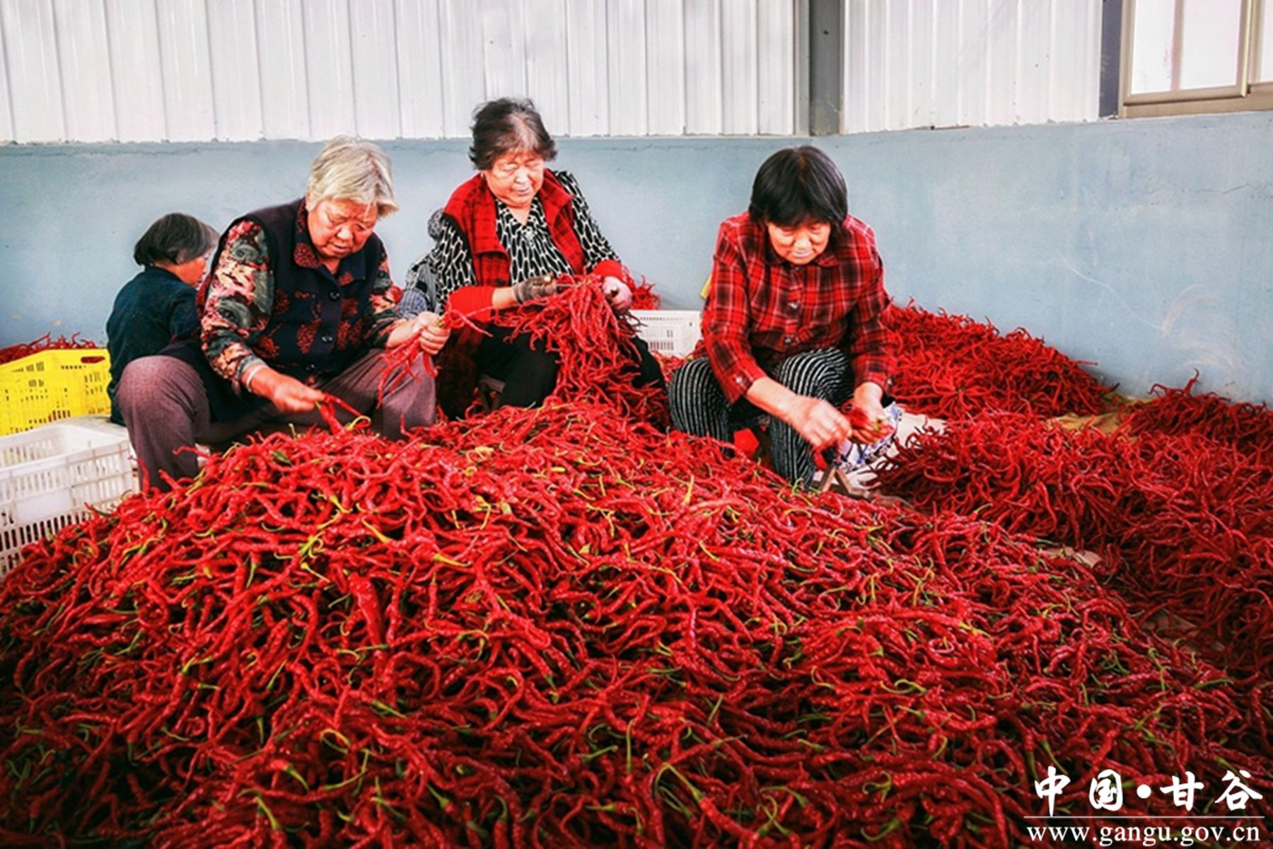 1680062790323000442 1680062790323000442