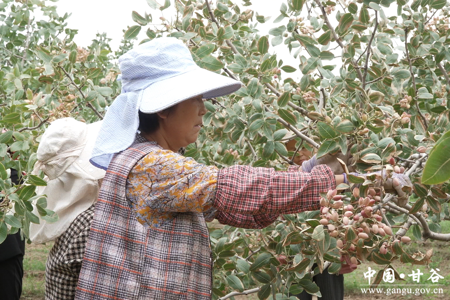 微信图片_20250904112457_23_148 微信图片_20250904112457_23_148