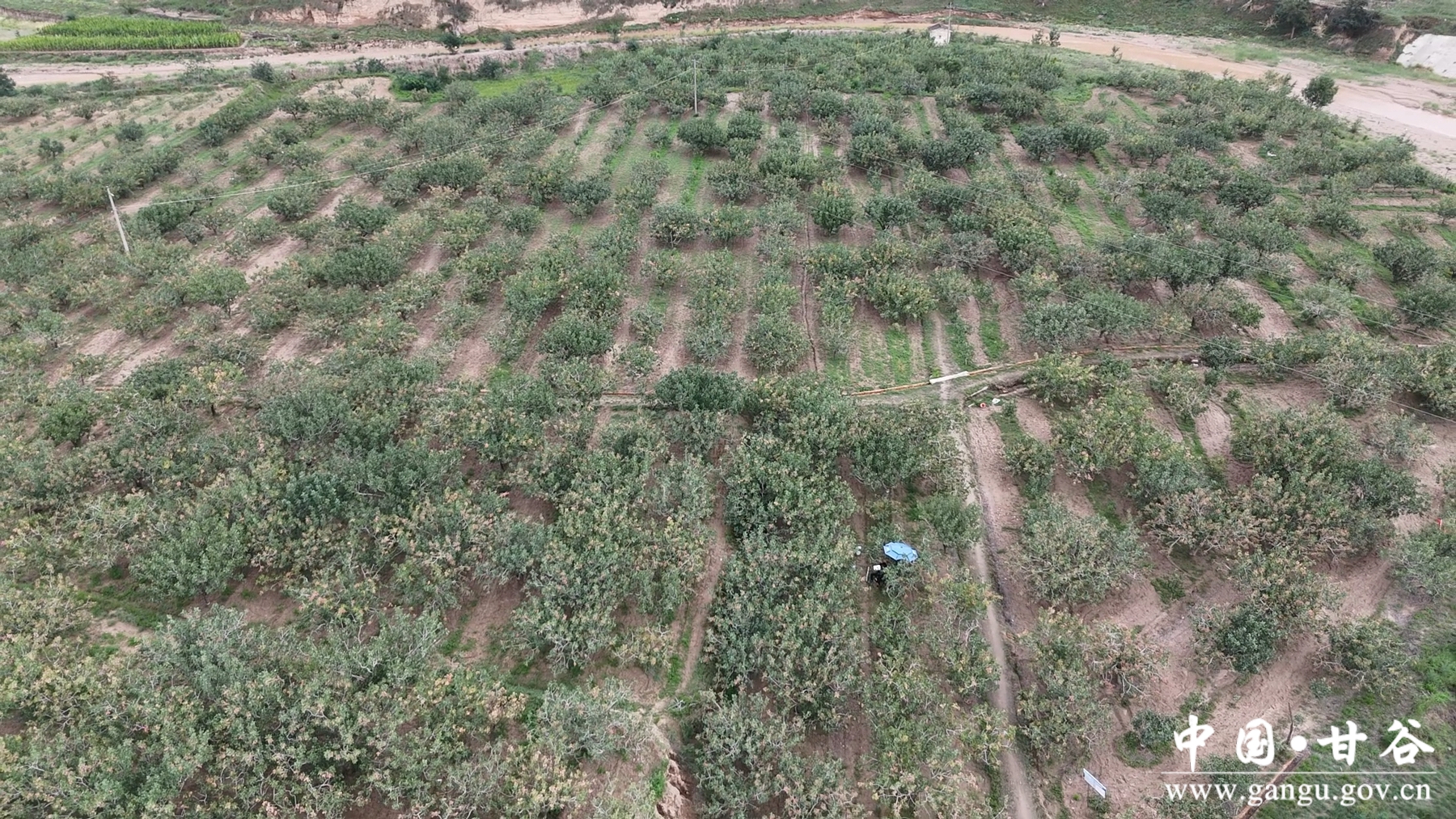 微信图片_20250904112500_25_148 微信图片_20250904112500_25_148