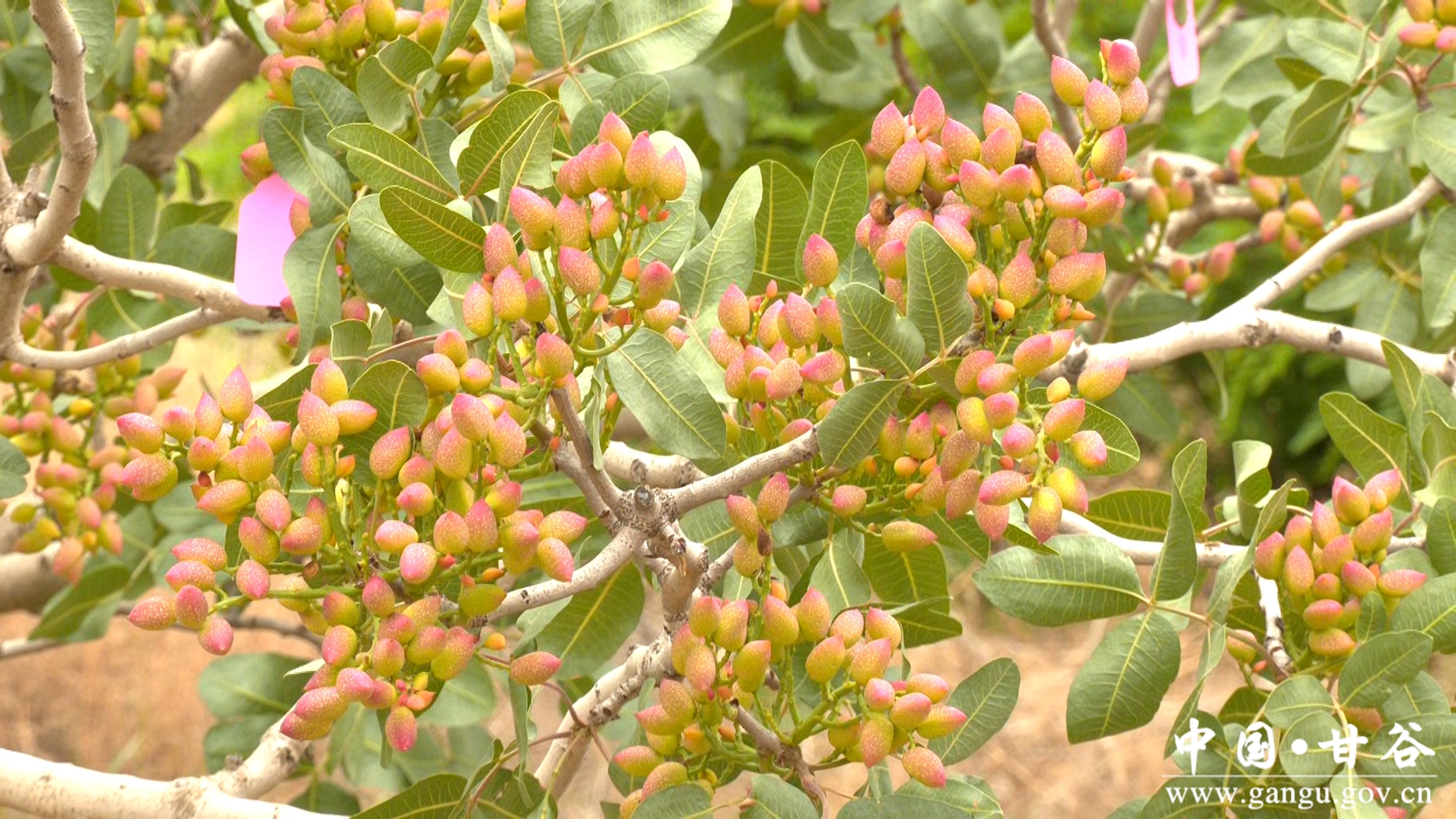 微信图片_20250904112502_26_148 微信图片_20250904112502_26_148