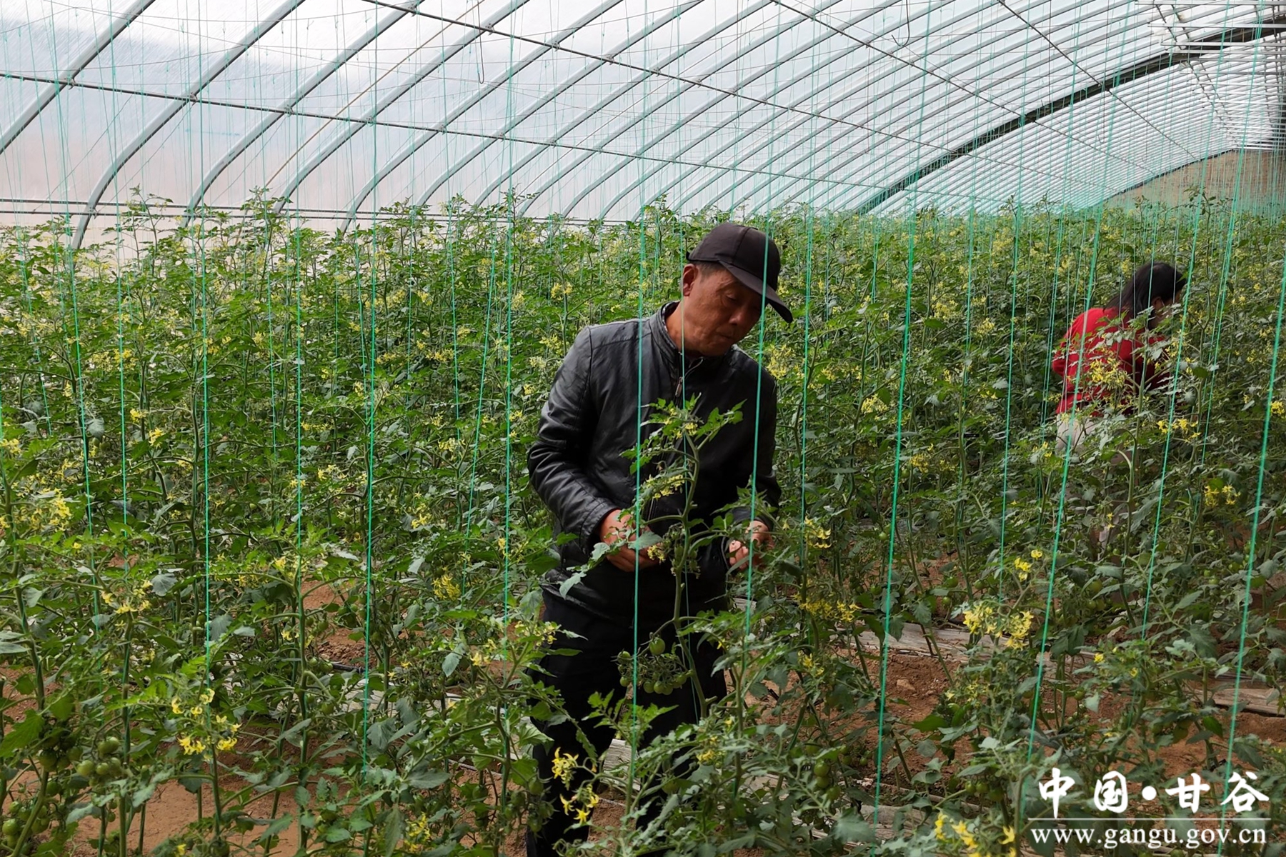 微信图片_20241205101151 微信图片_20241205101151