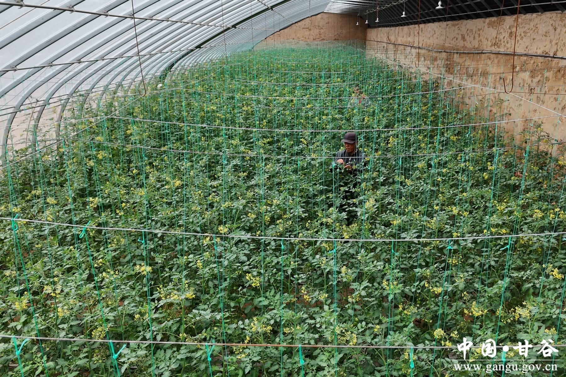 微信图片_20241205101143 微信图片_20241205101143