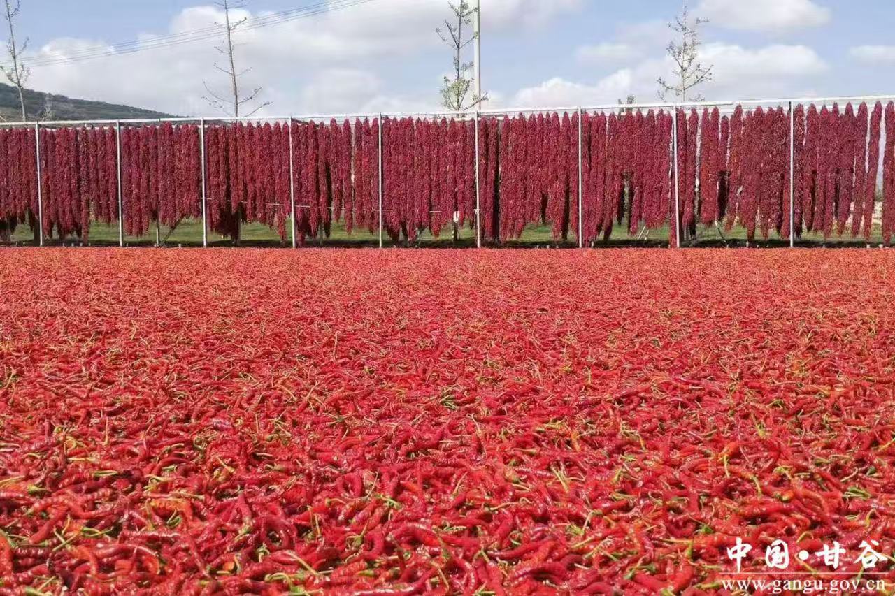 微信图片_20251225105416_201_10 微信图片_20251225105416_201_10