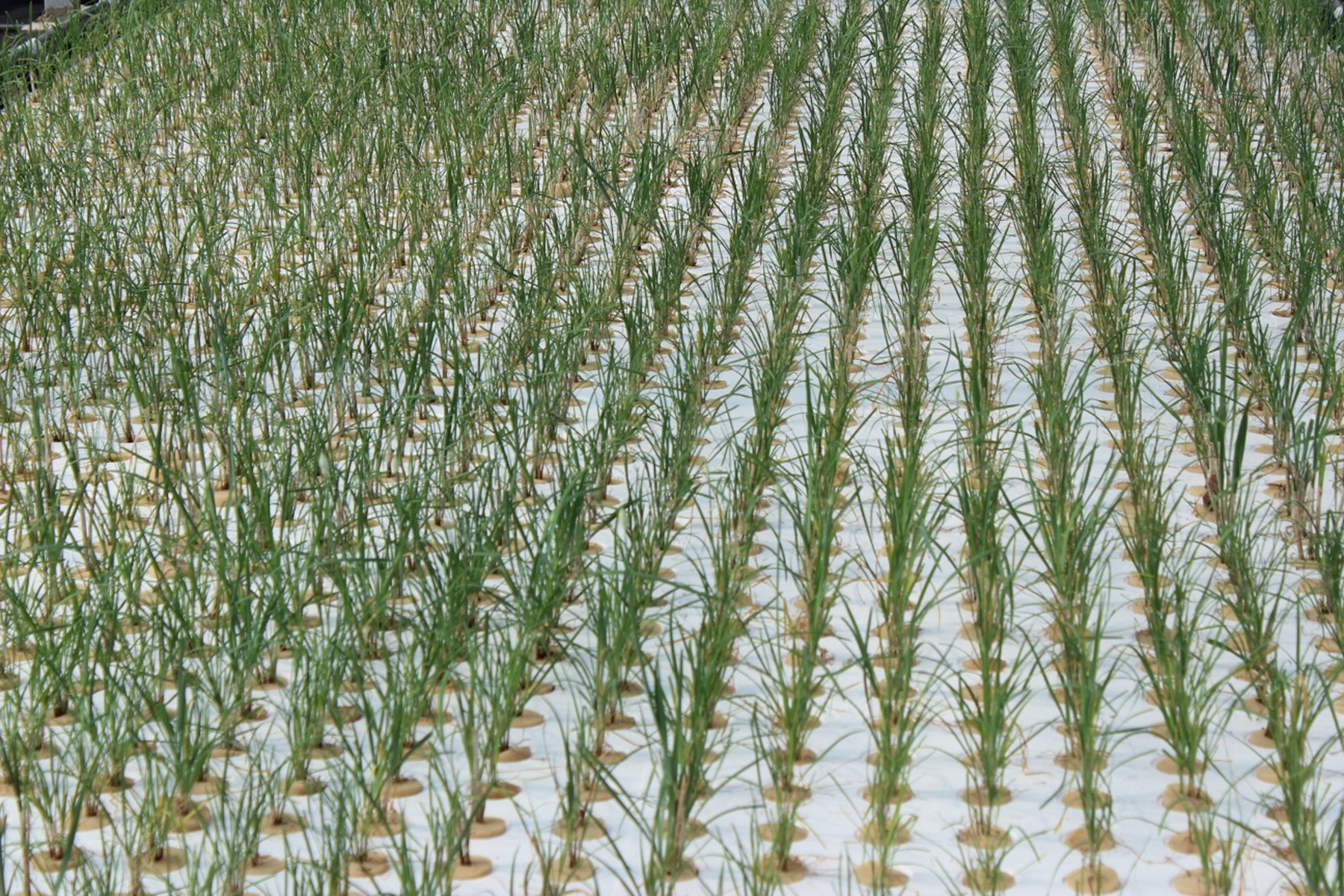 a695bbde26594409b94f8a6400e69f6a a695bbde26594409b94f8a6400e69f6a