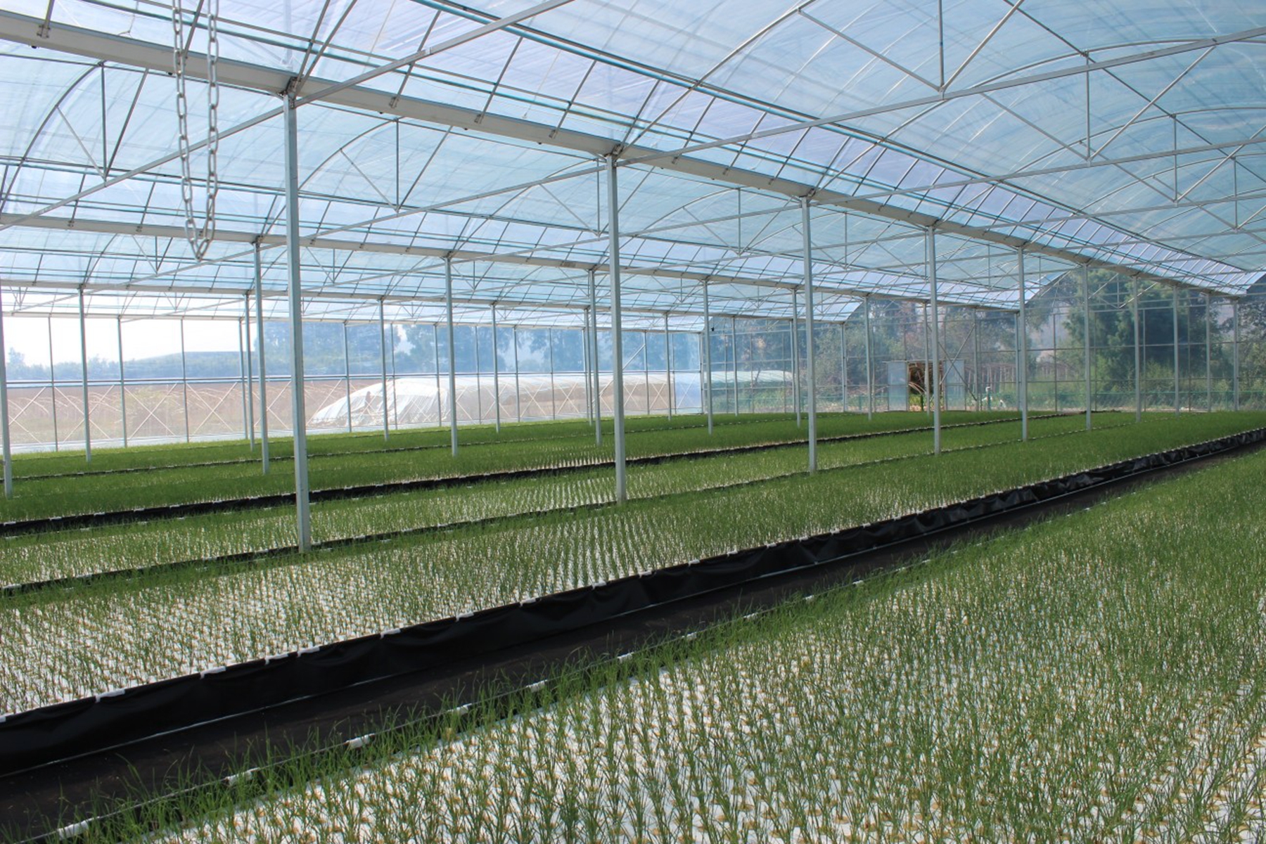 20e9068d1ca24c93bbc6f39497ce85d2 20e9068d1ca24c93bbc6f39497ce85d2