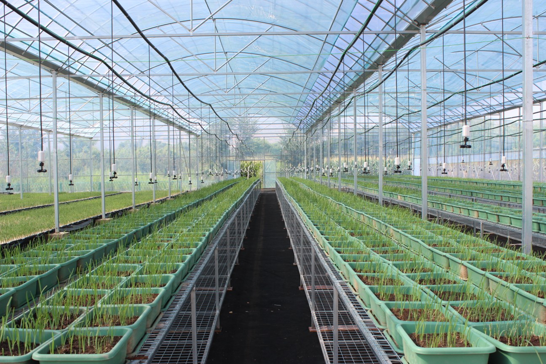 c79e8d5e2cb14587a0b6fb8a9bb13ea4 c79e8d5e2cb14587a0b6fb8a9bb13ea4