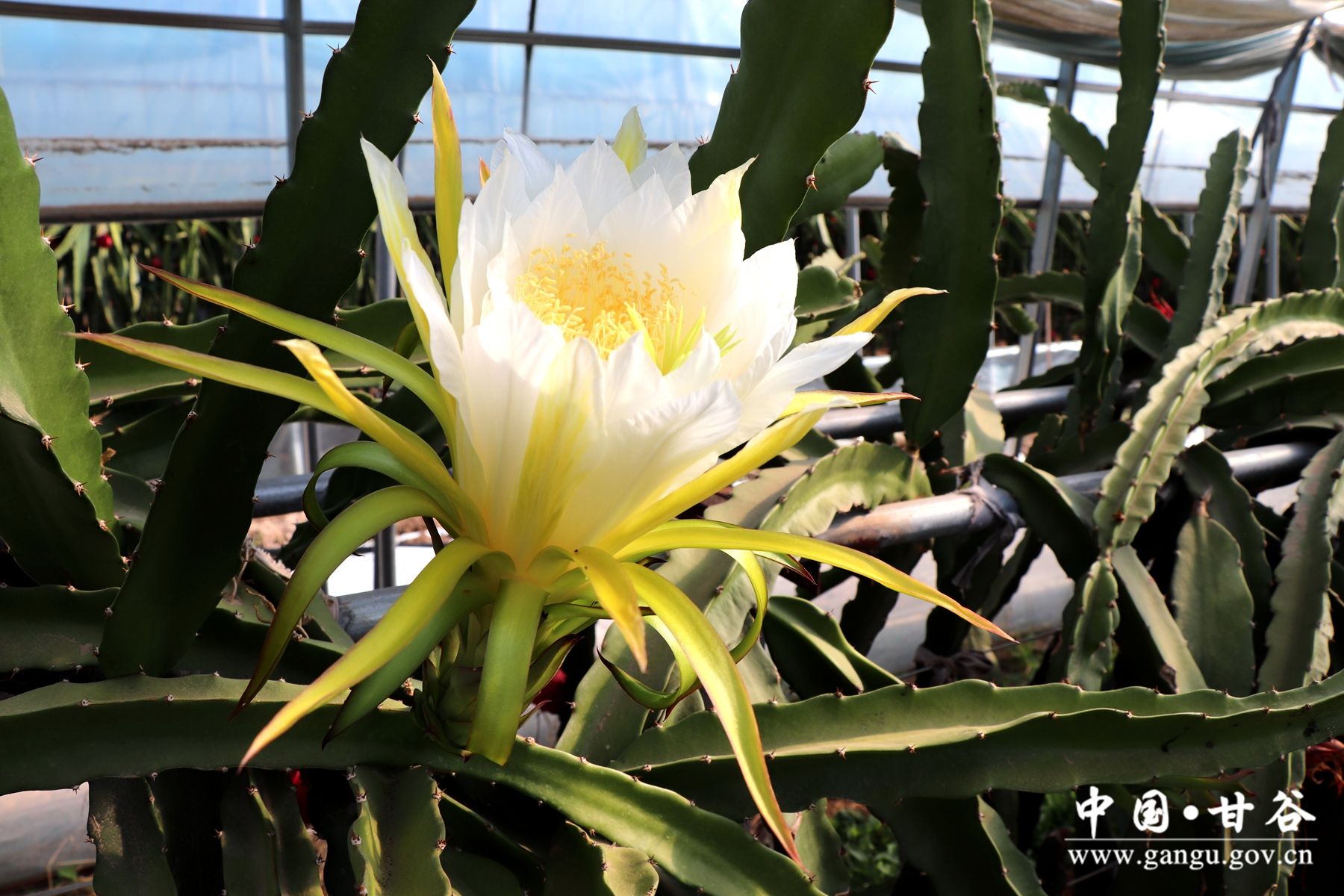 IMG_7875_副本 IMG_7875_副本