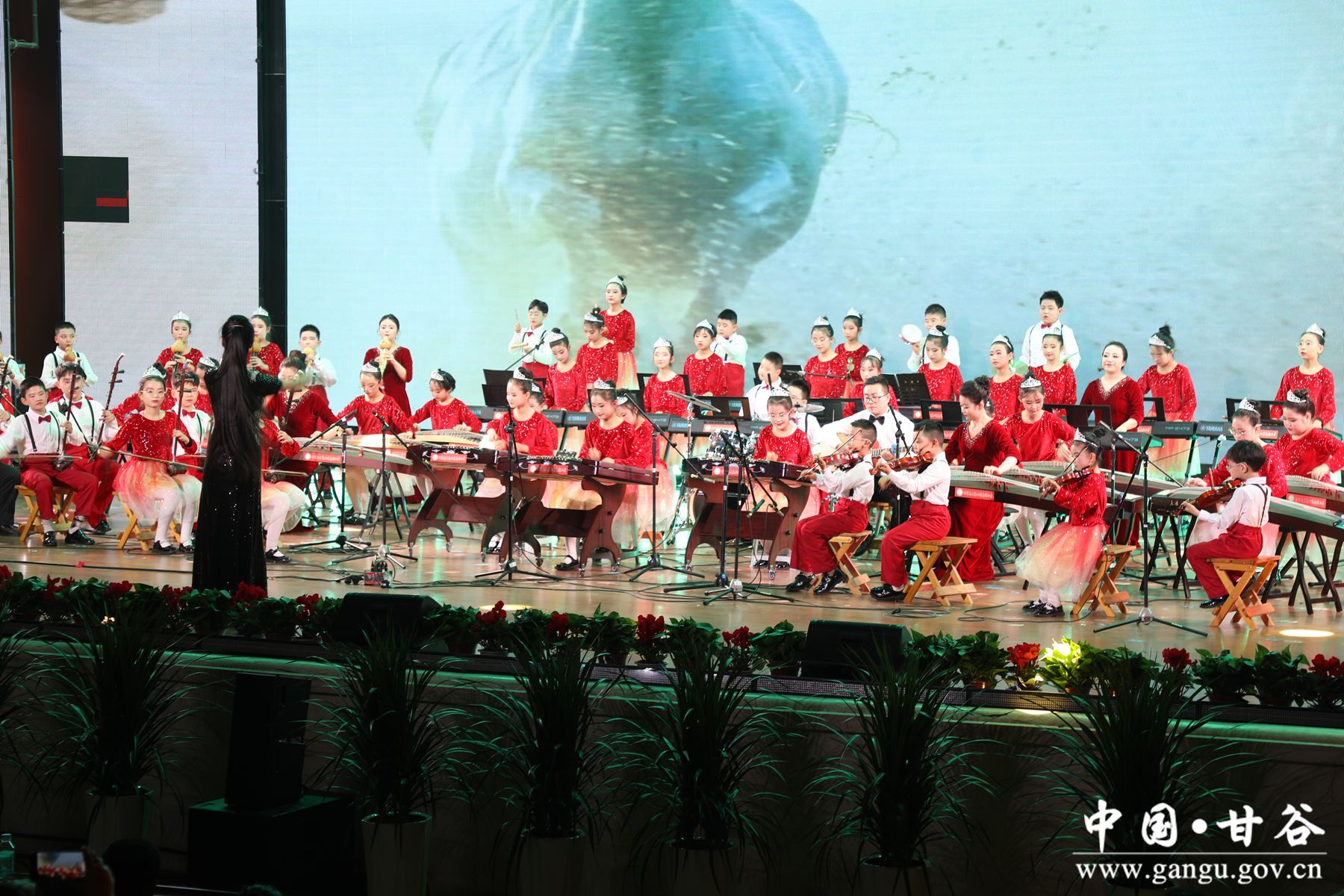 926A8590_副本 926A8590_副本