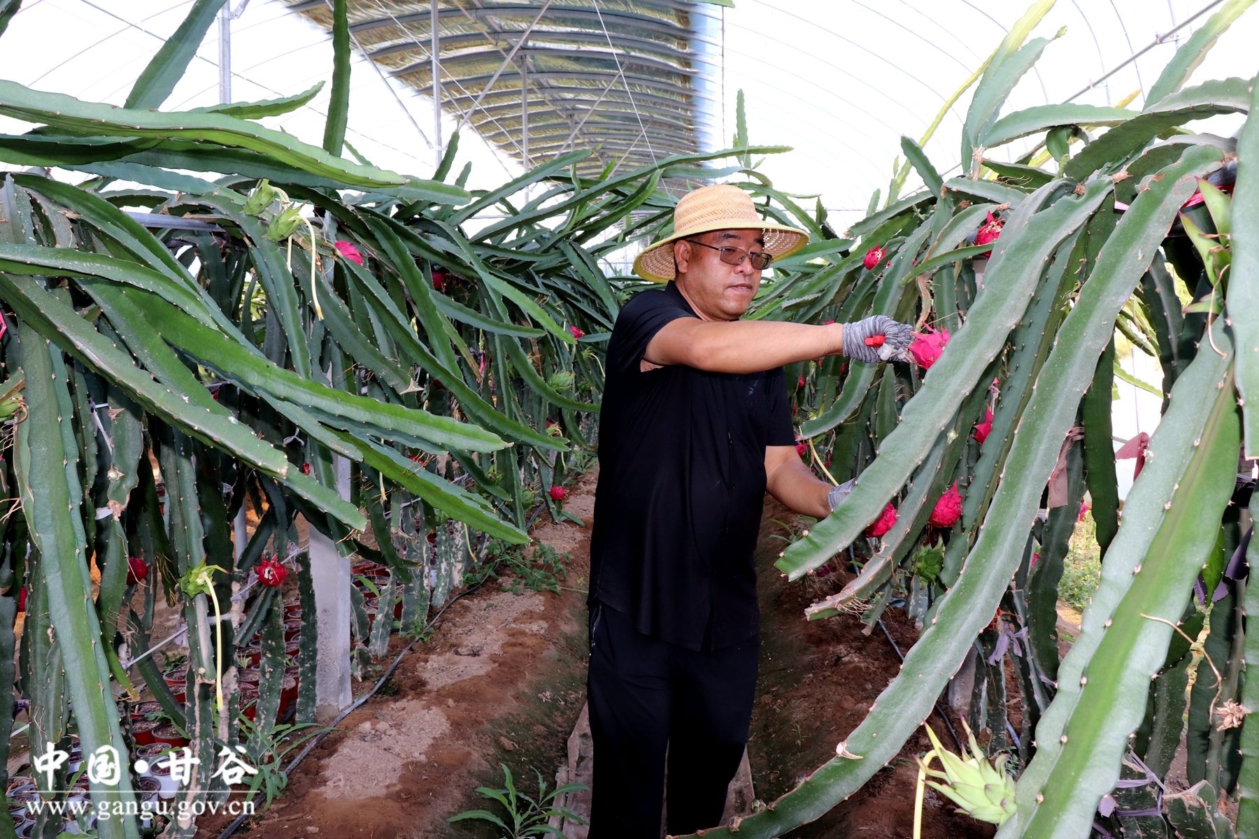 IMG_7864_副本 IMG_7864_副本