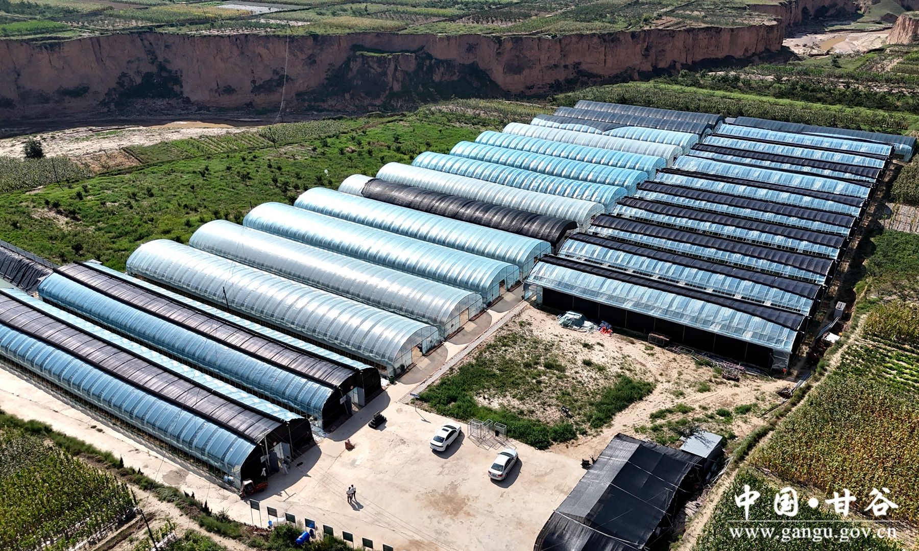 DJI_20240820100138_0085_D_副本 DJI_20240820100138_0085_D_副本