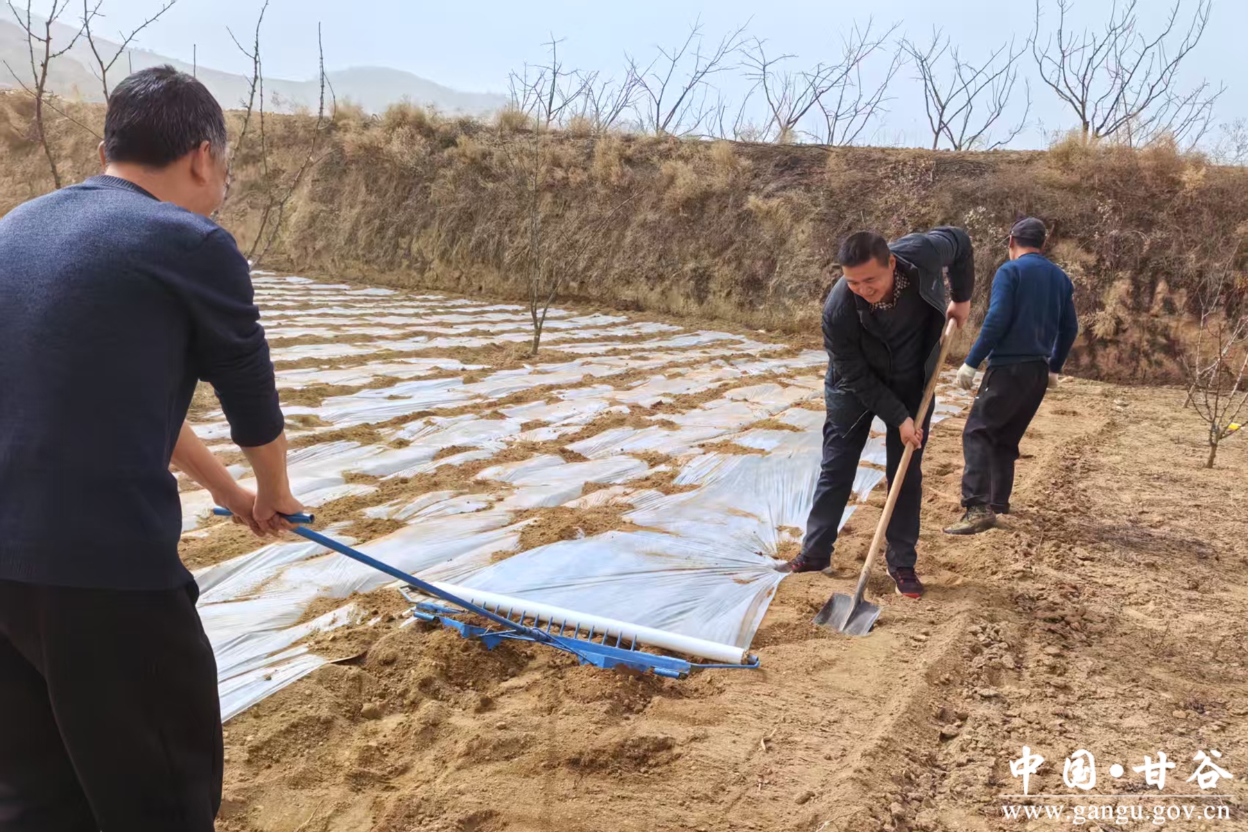 八里湾镇上岔村 八里湾镇上岔村