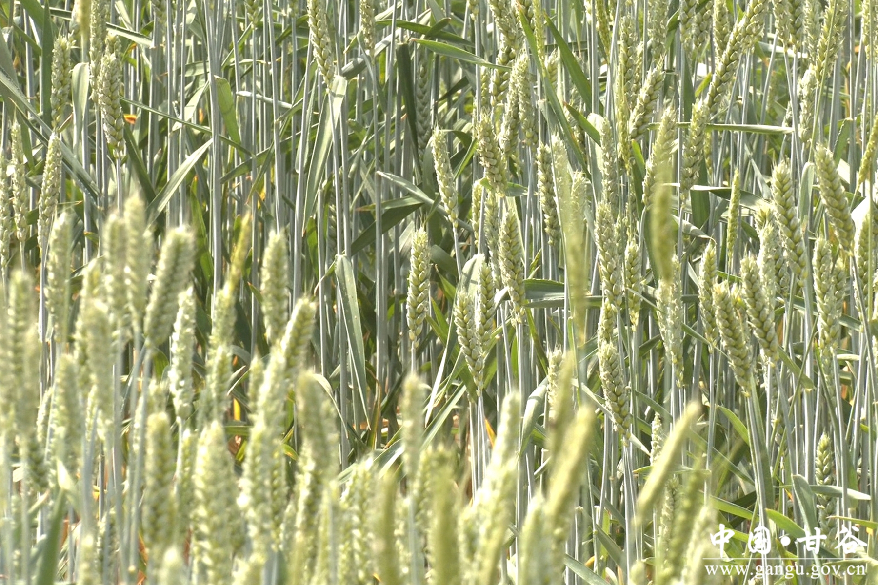 微信图片_20250521175328 微信图片_20250521175328