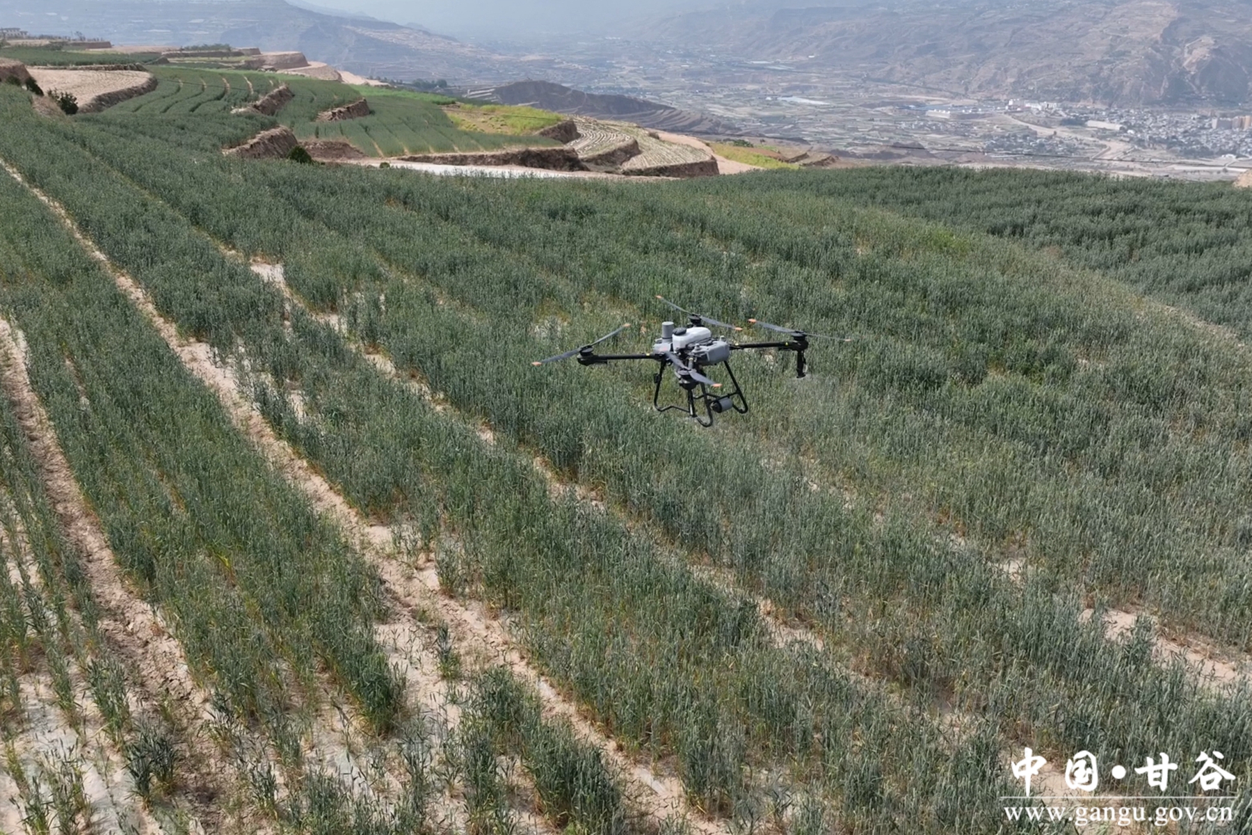 微信图片_20250521175243 微信图片_20250521175243