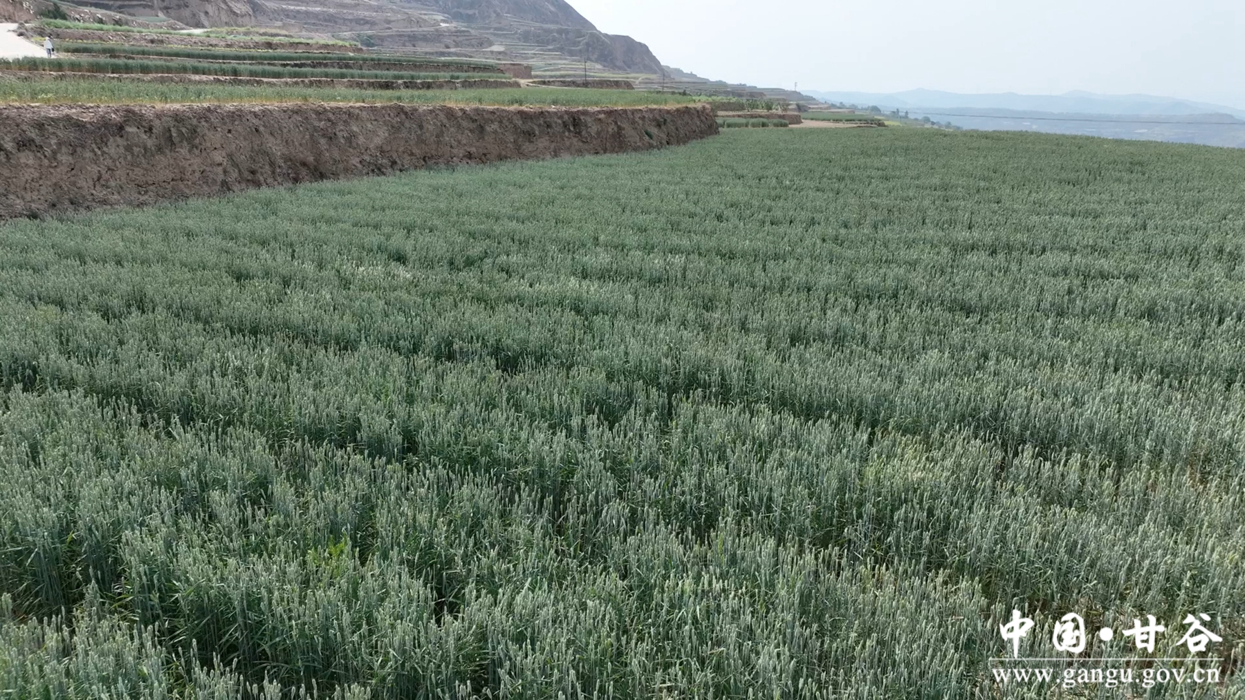 微信图片_20250521175338 微信图片_20250521175338