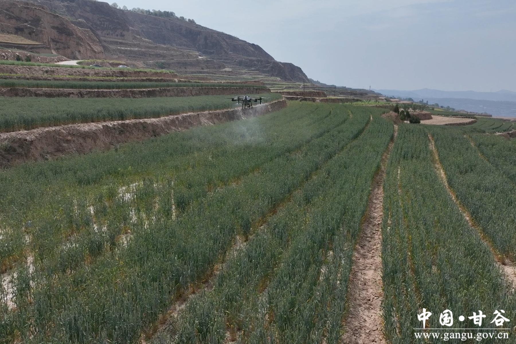 微信图片_20250521175308 微信图片_20250521175308