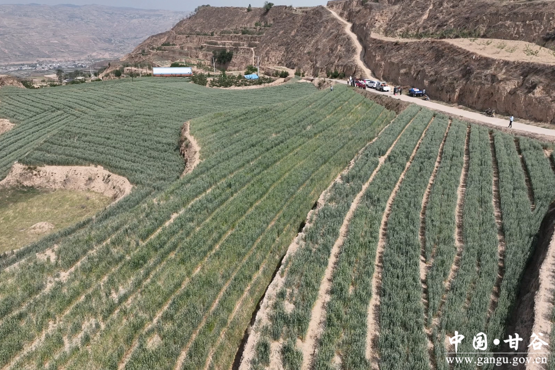 微信图片_20250521175334 微信图片_20250521175334