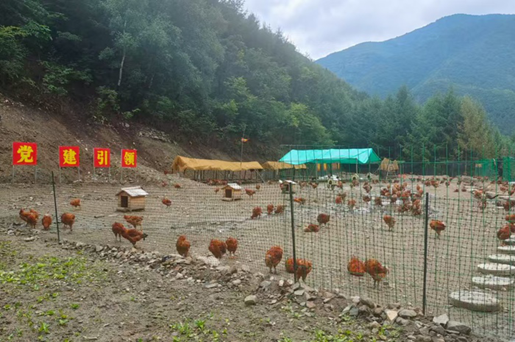 a852d9534ba84746882f624f594c56cf a852d9534ba84746882f624f594c56cf