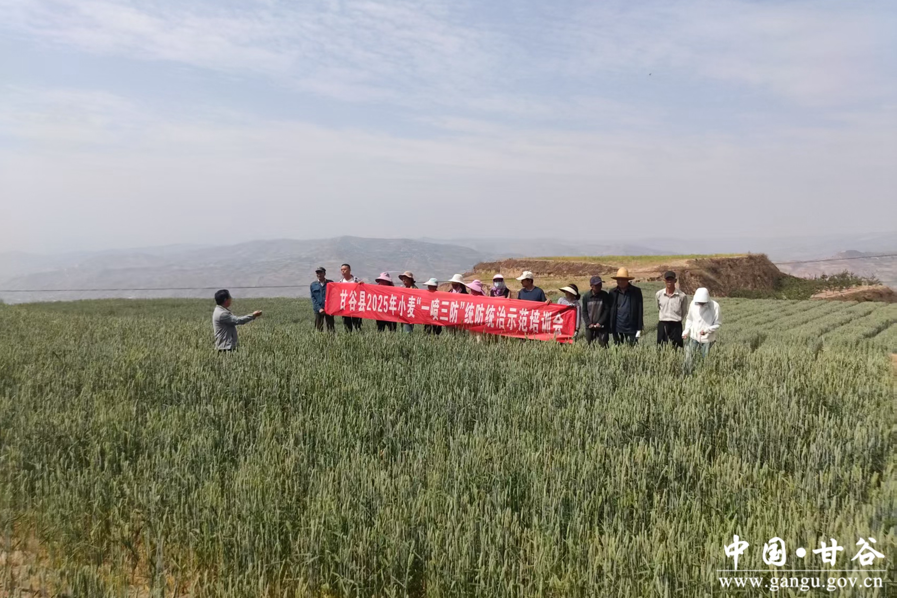 微信图片_20250521175254 微信图片_20250521175254