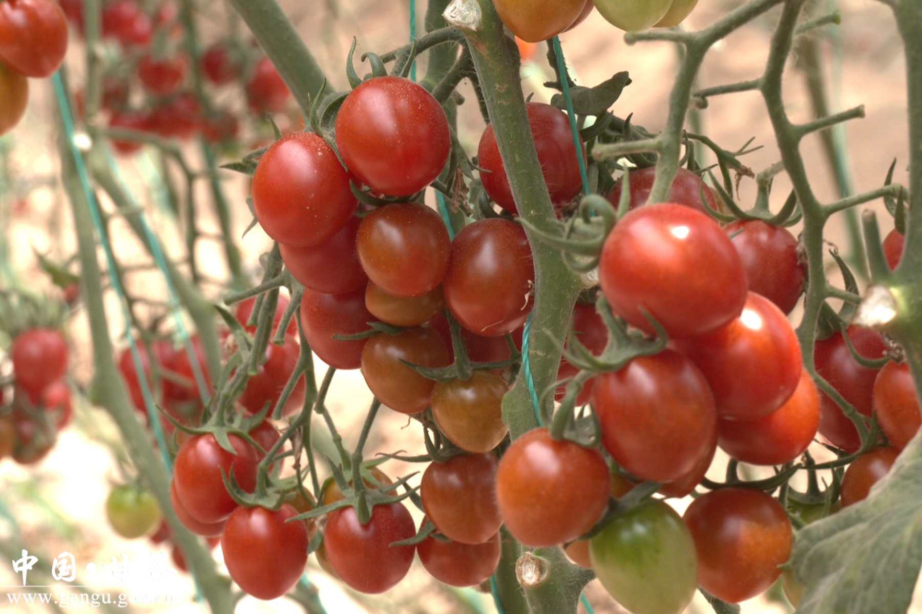 微信图片_20241015111318 微信图片_20241015111318