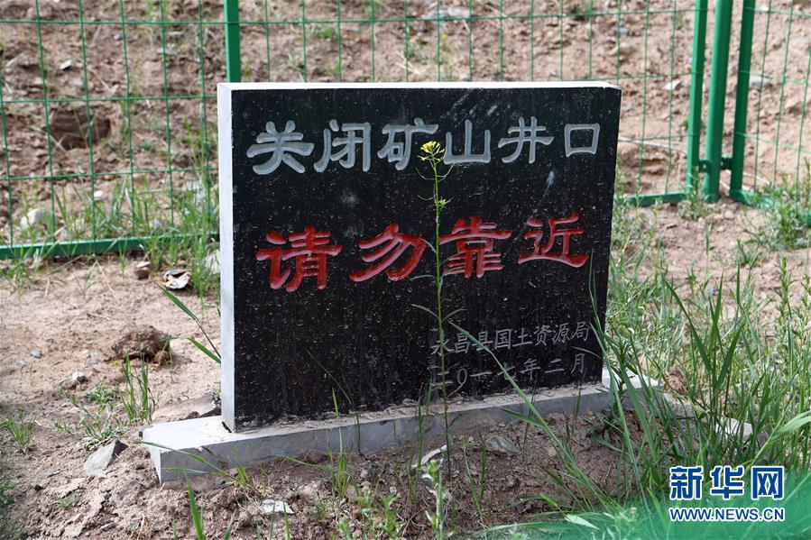 (在习近平新时代中国特色社会主义思想指引下——新时代新作为新篇章·图文互动)(6)祁连山的绿色回响