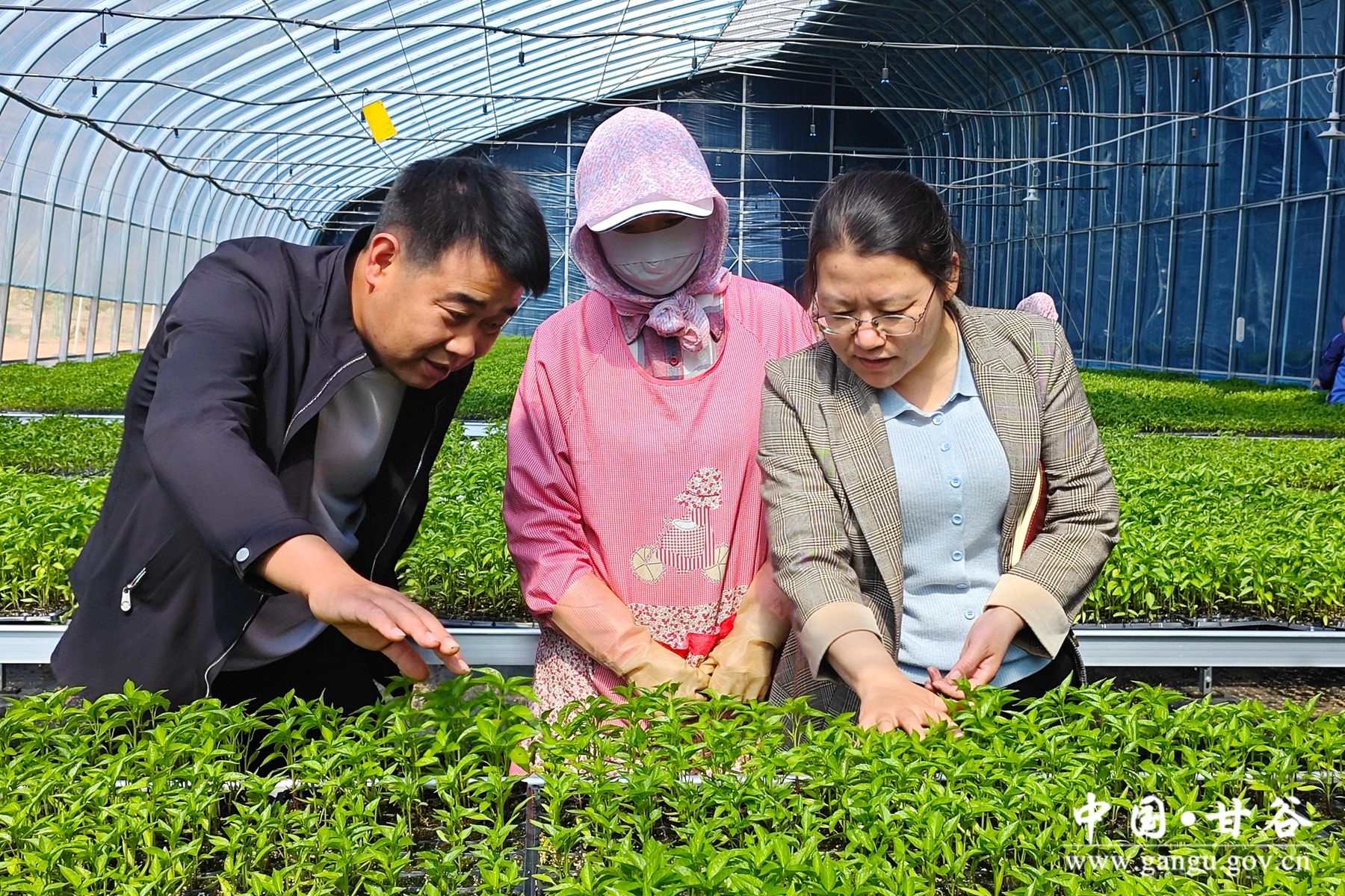 6588200d6ce01cffc33195e86a63df2 6588200d6ce01cffc33195e86a63df2