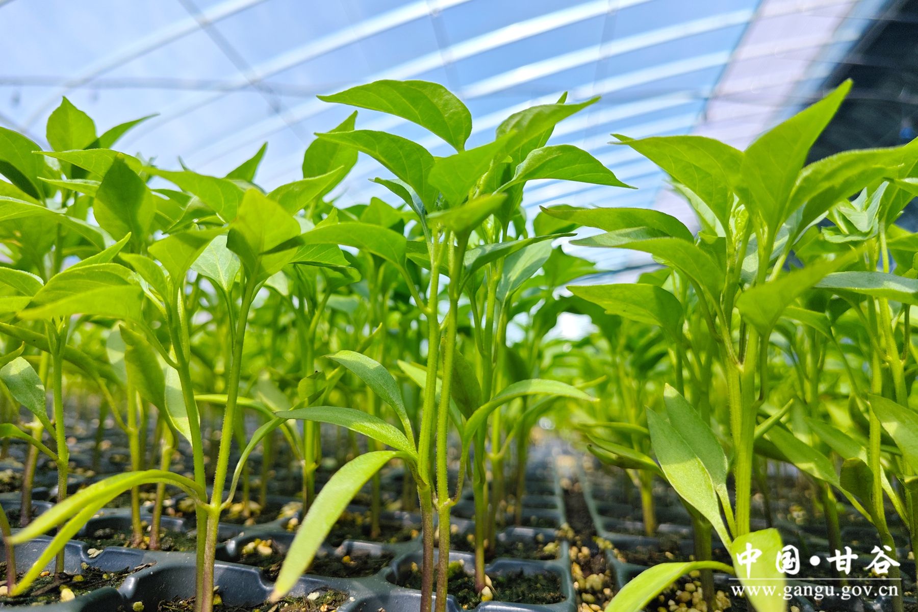 e1fb4d61ed1af631d23065769bb555d e1fb4d61ed1af631d23065769bb555d