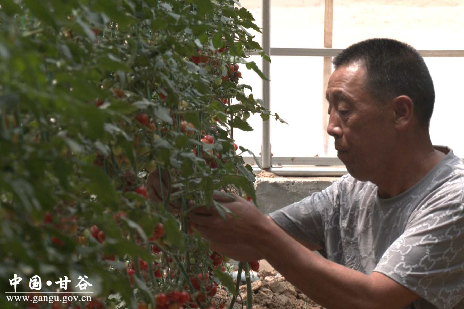 微信图片_20241015111308 微信图片_20241015111308