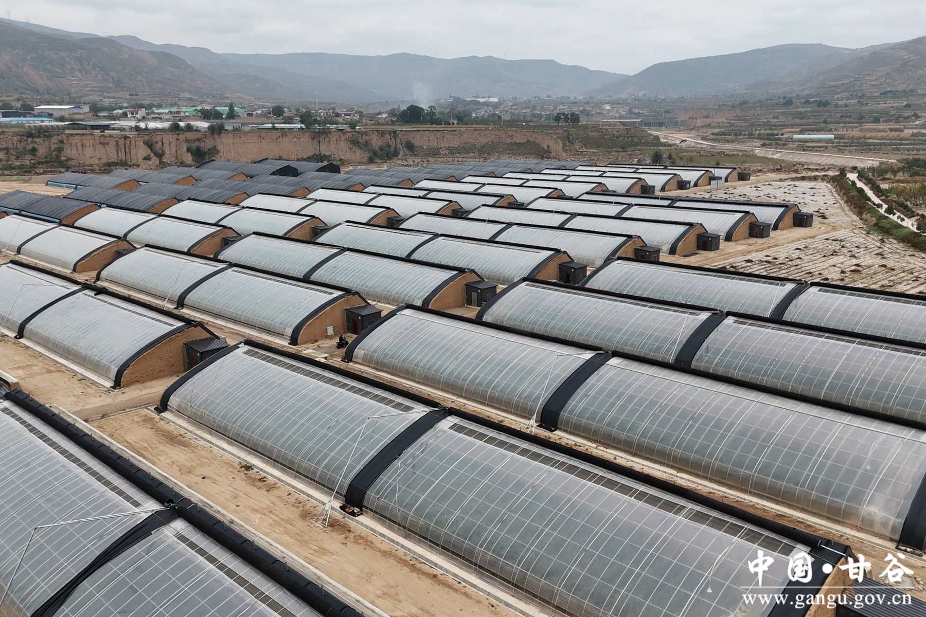 微信图片_20241015111242 微信图片_20241015111242