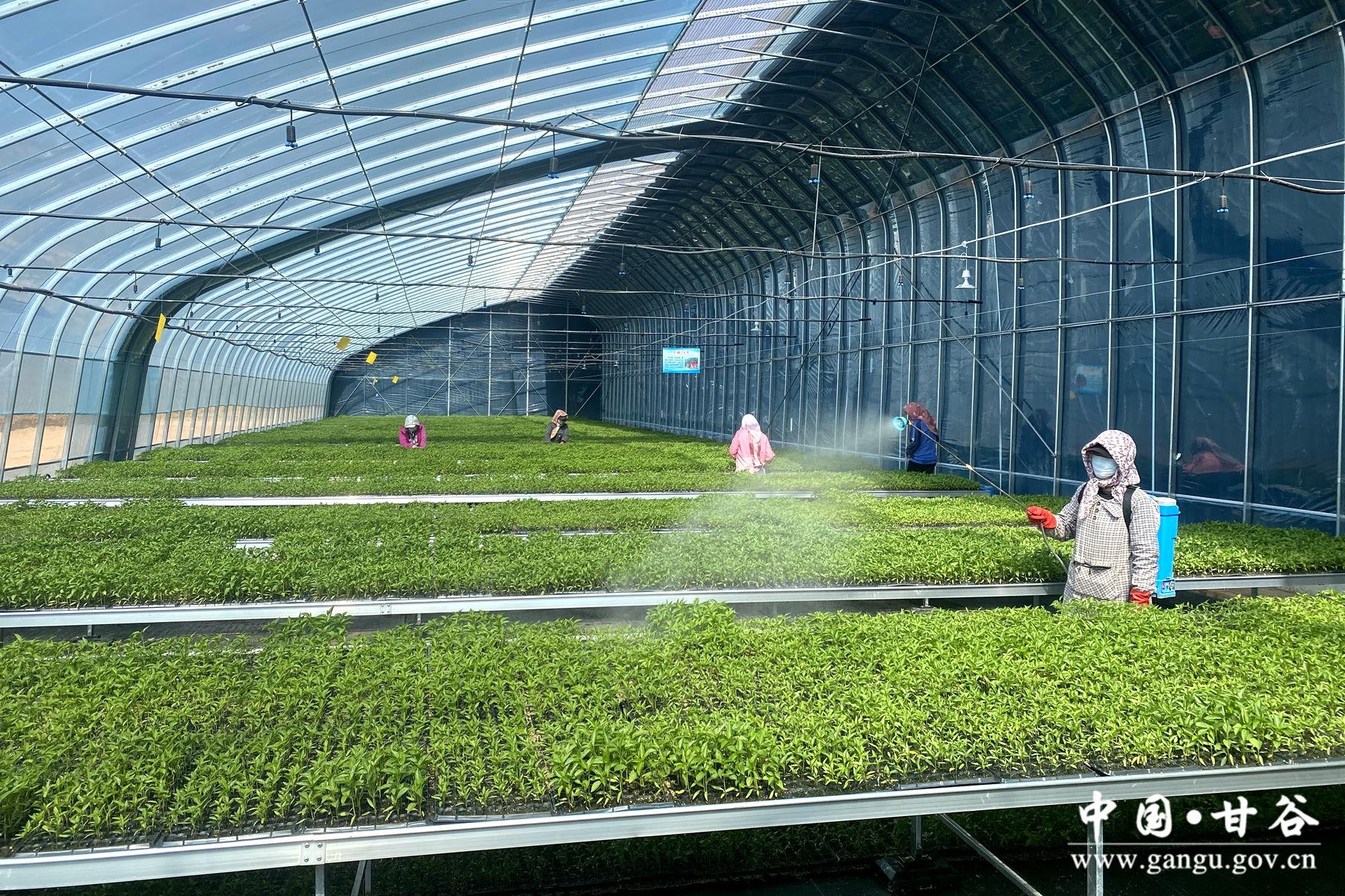 12442c4e1f792d69303b8bc6526894d 12442c4e1f792d69303b8bc6526894d