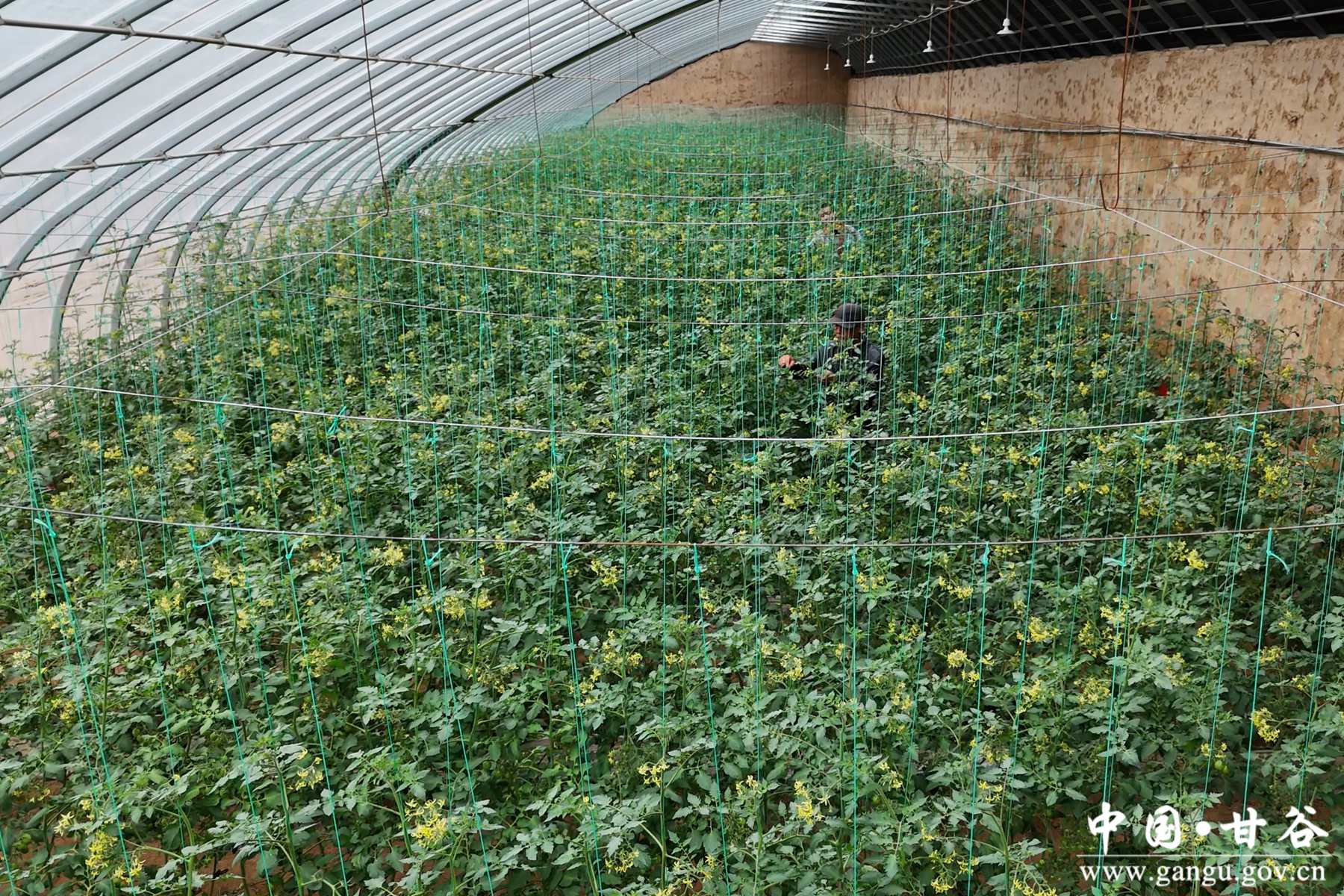 微信图片_20241015111239 微信图片_20241015111239