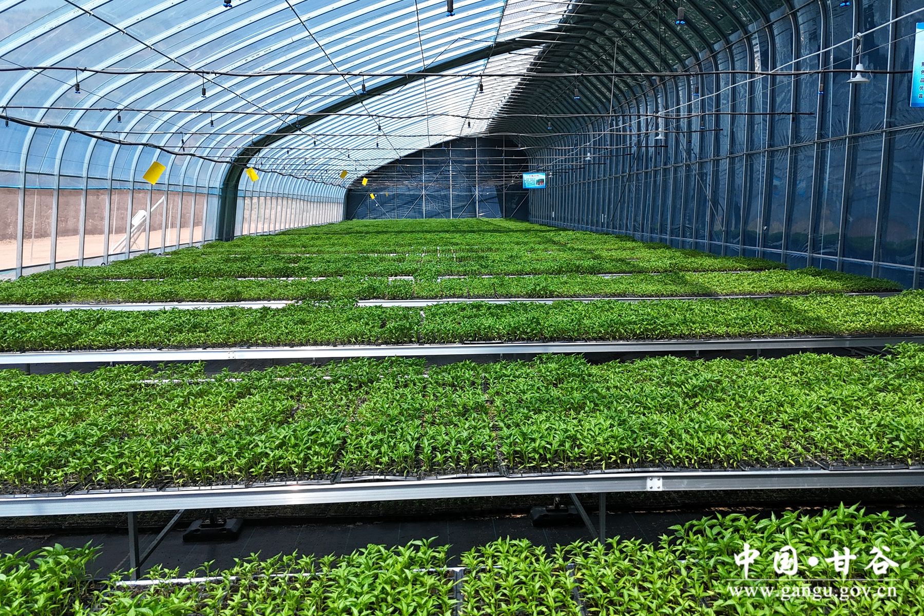 DJI_20250425104544_0408_D DJI_20250425104544_0408_D